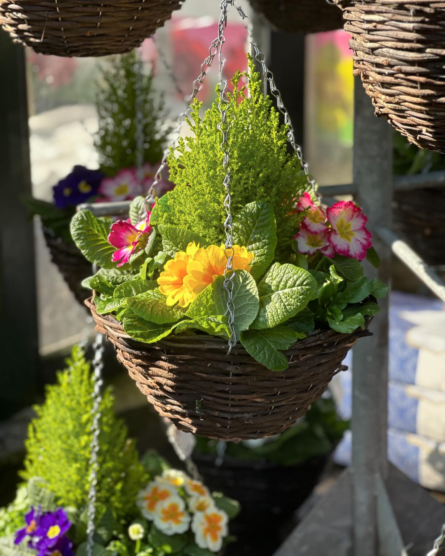 Karl Welsh Floral Design