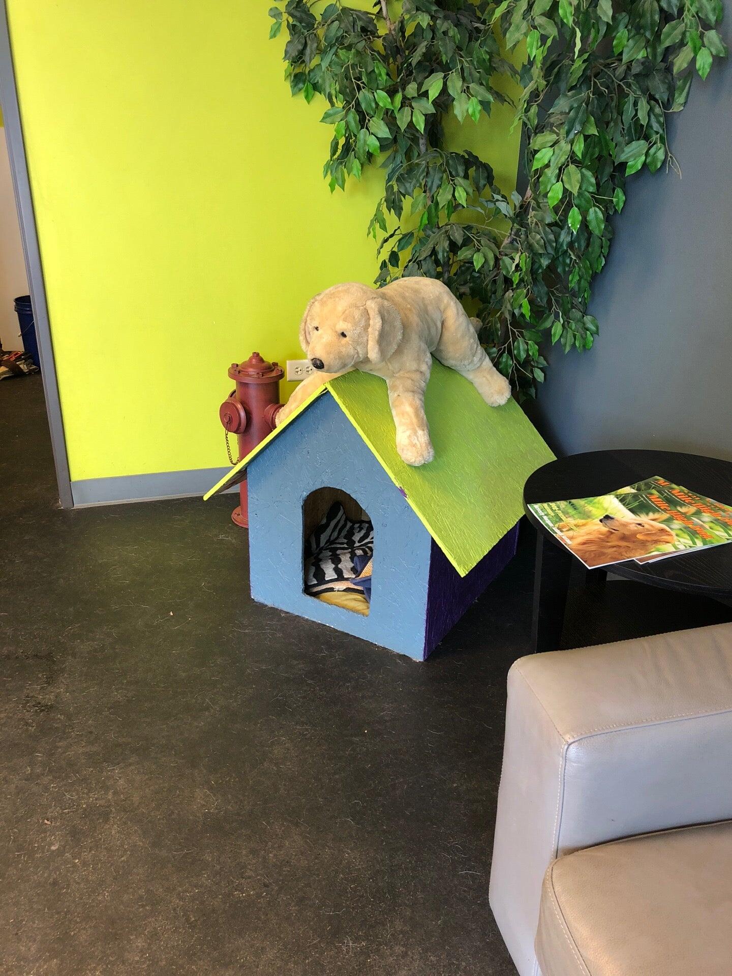 Boarding And Beyond Aurora