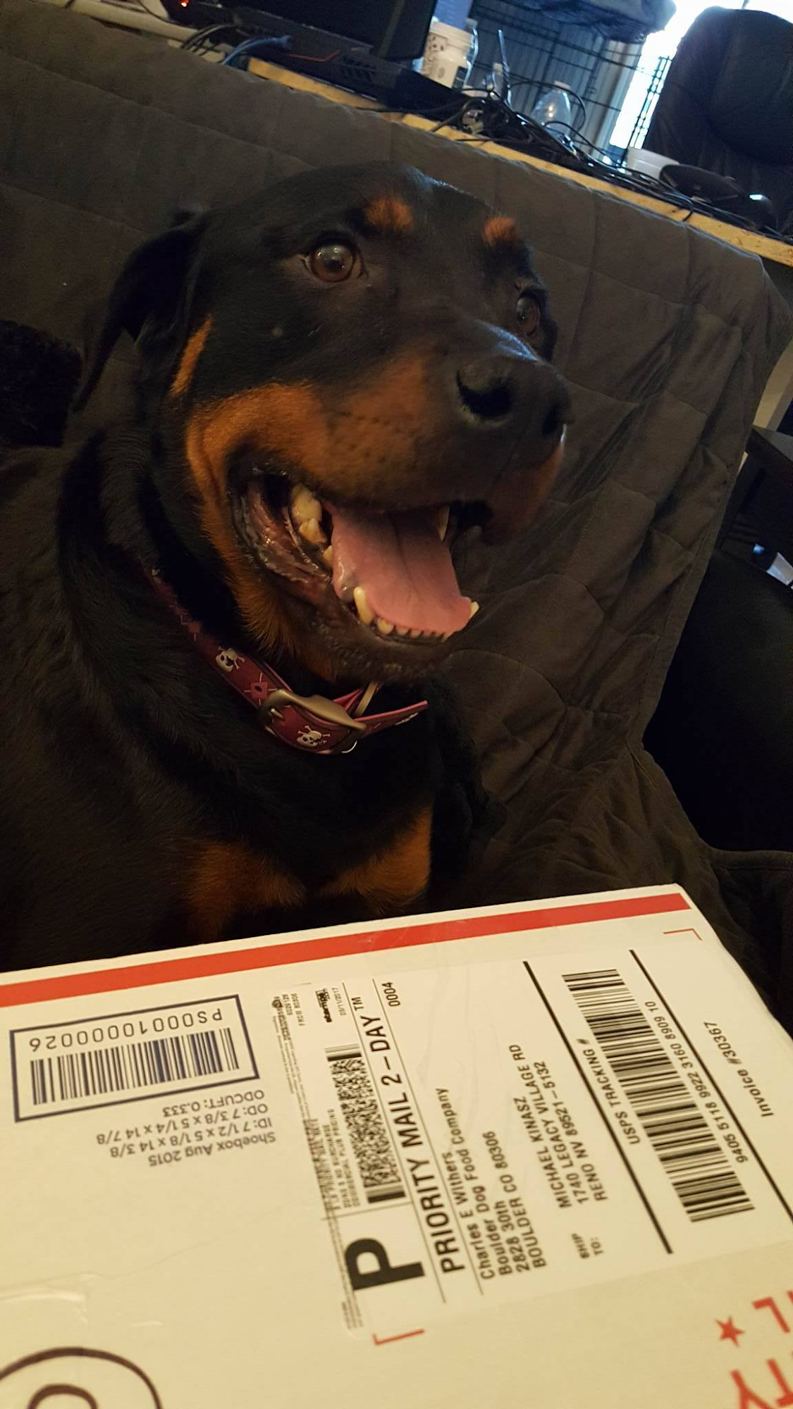 Boulder Dog Food Company Boulder