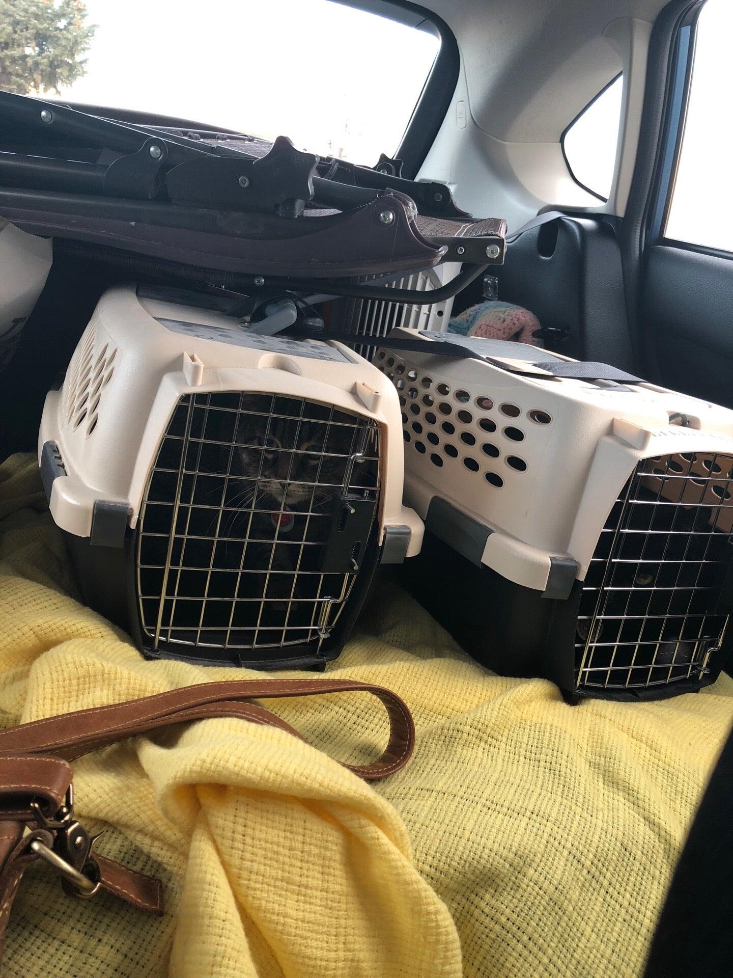 Photo credit: nextdoor