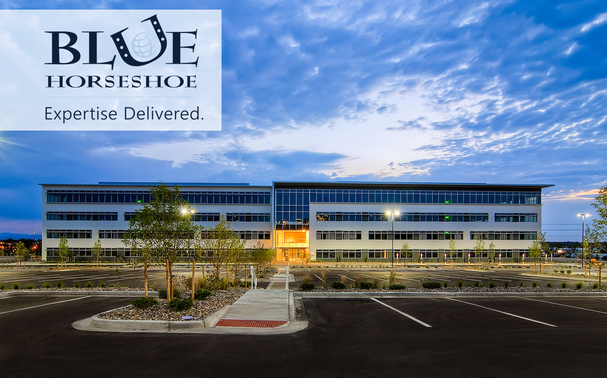 Blue Horseshoe Solutions