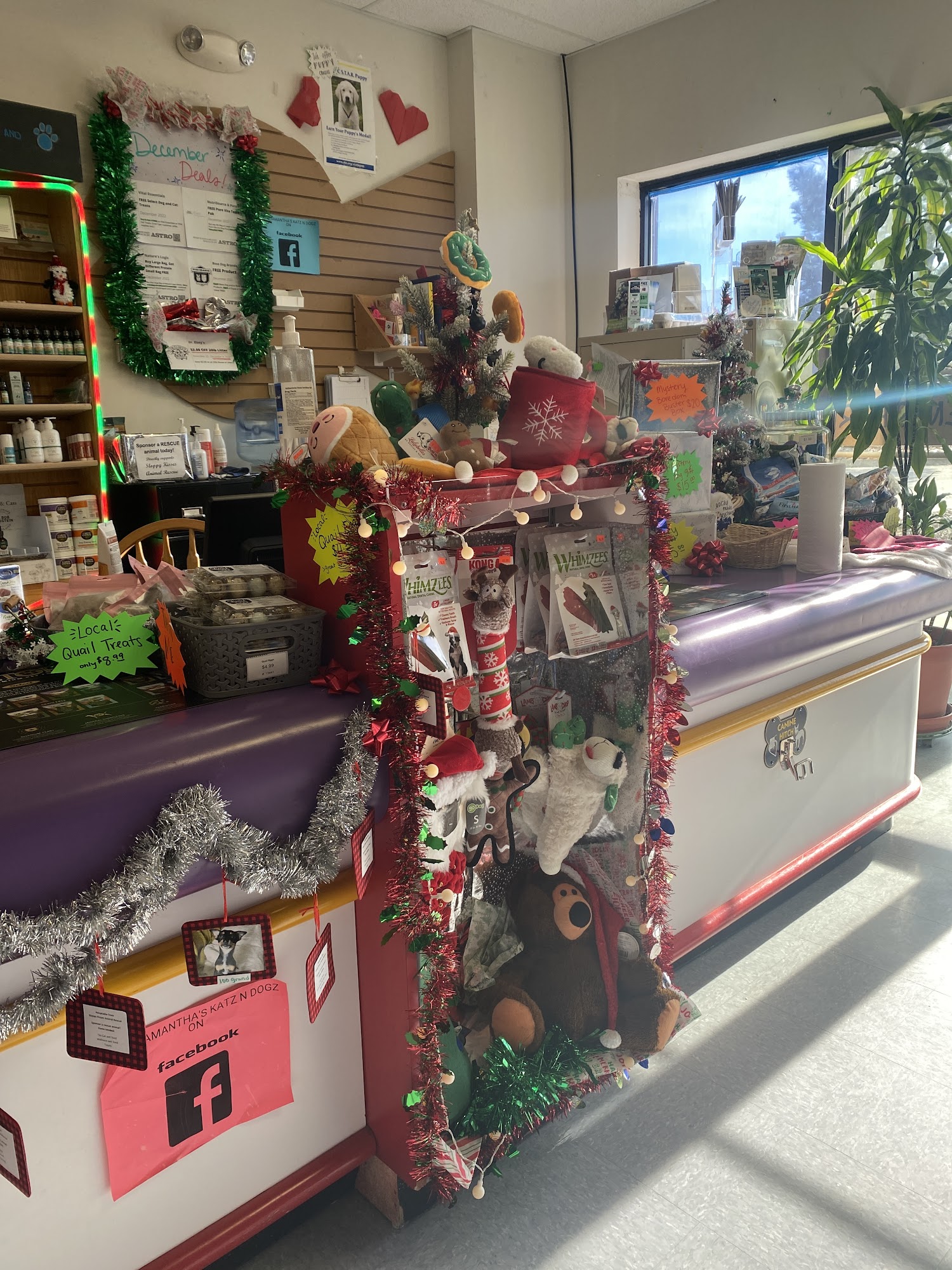 Samantha's Katz N Dogz Centennial