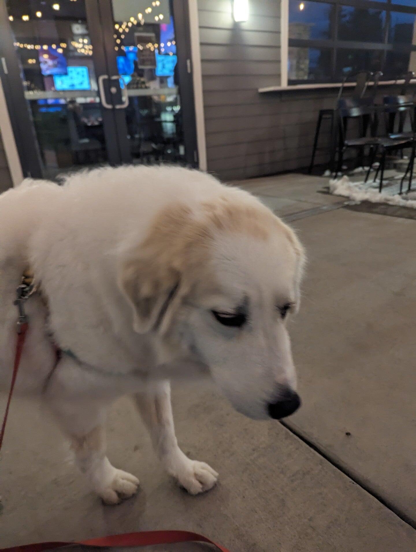 Photo credit: nextdoor