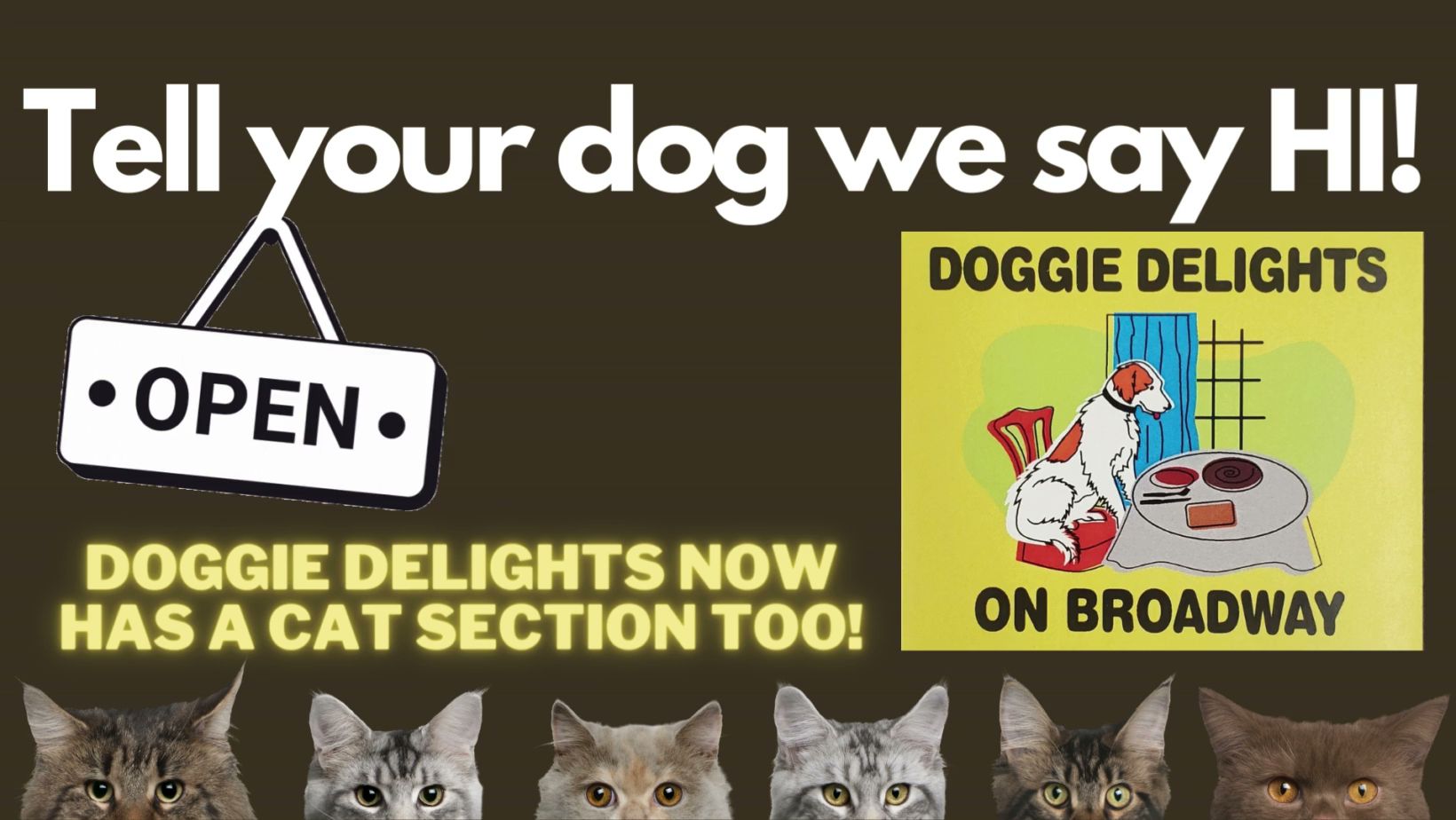 Doggie Delights On Broadway Denver