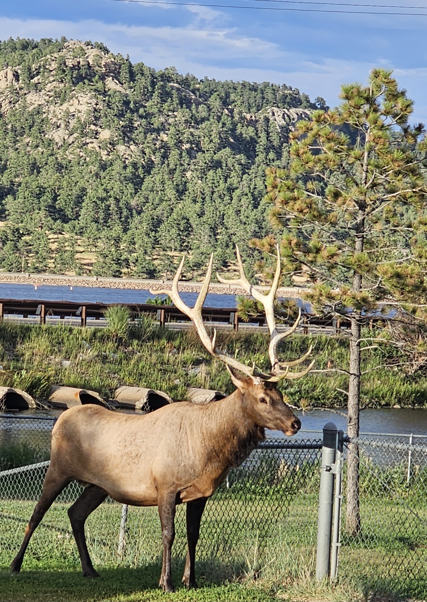 Estes Park Dog Park Estes Park