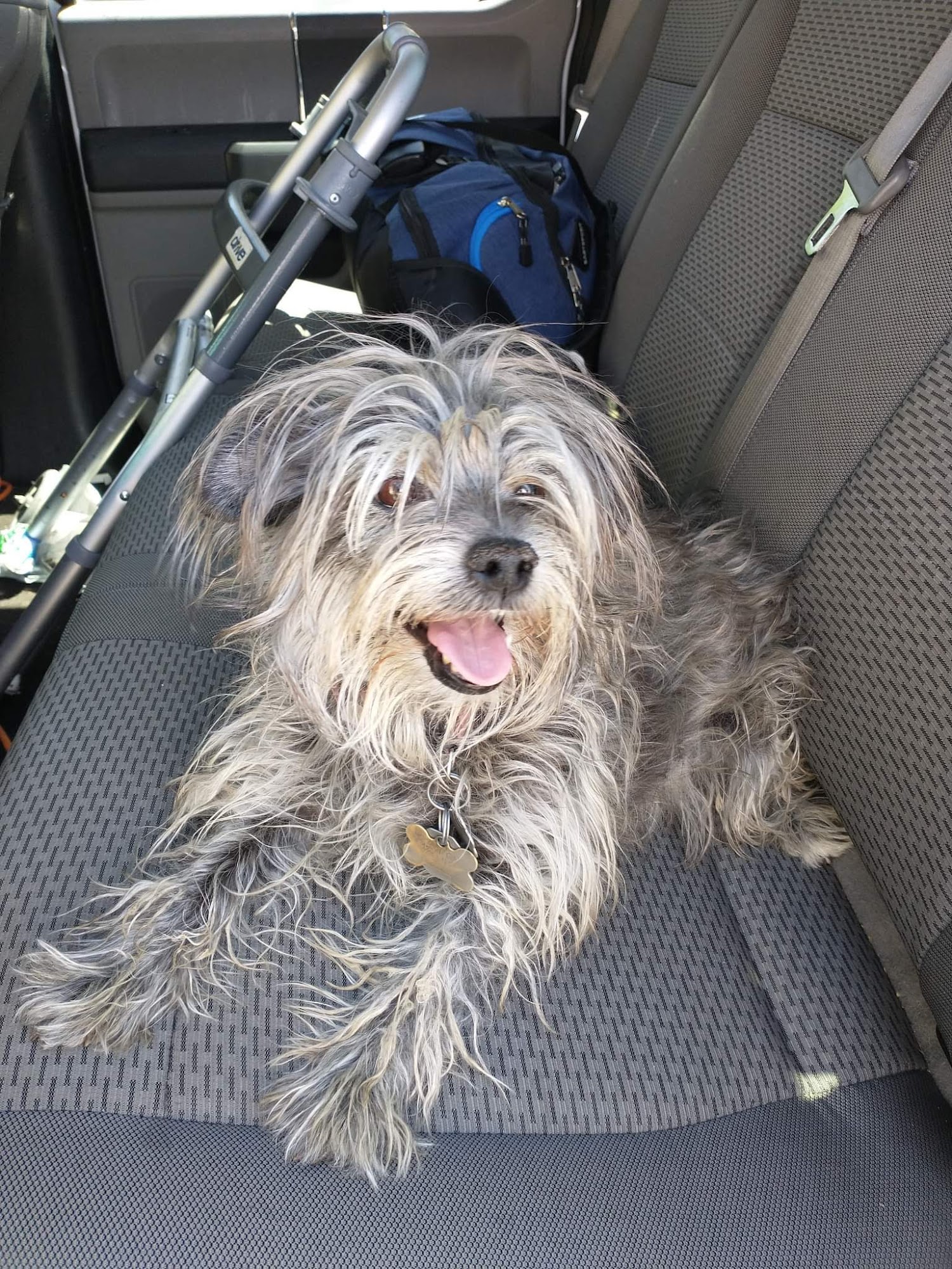 Aspen Grooming & Pet Supply Pueblo