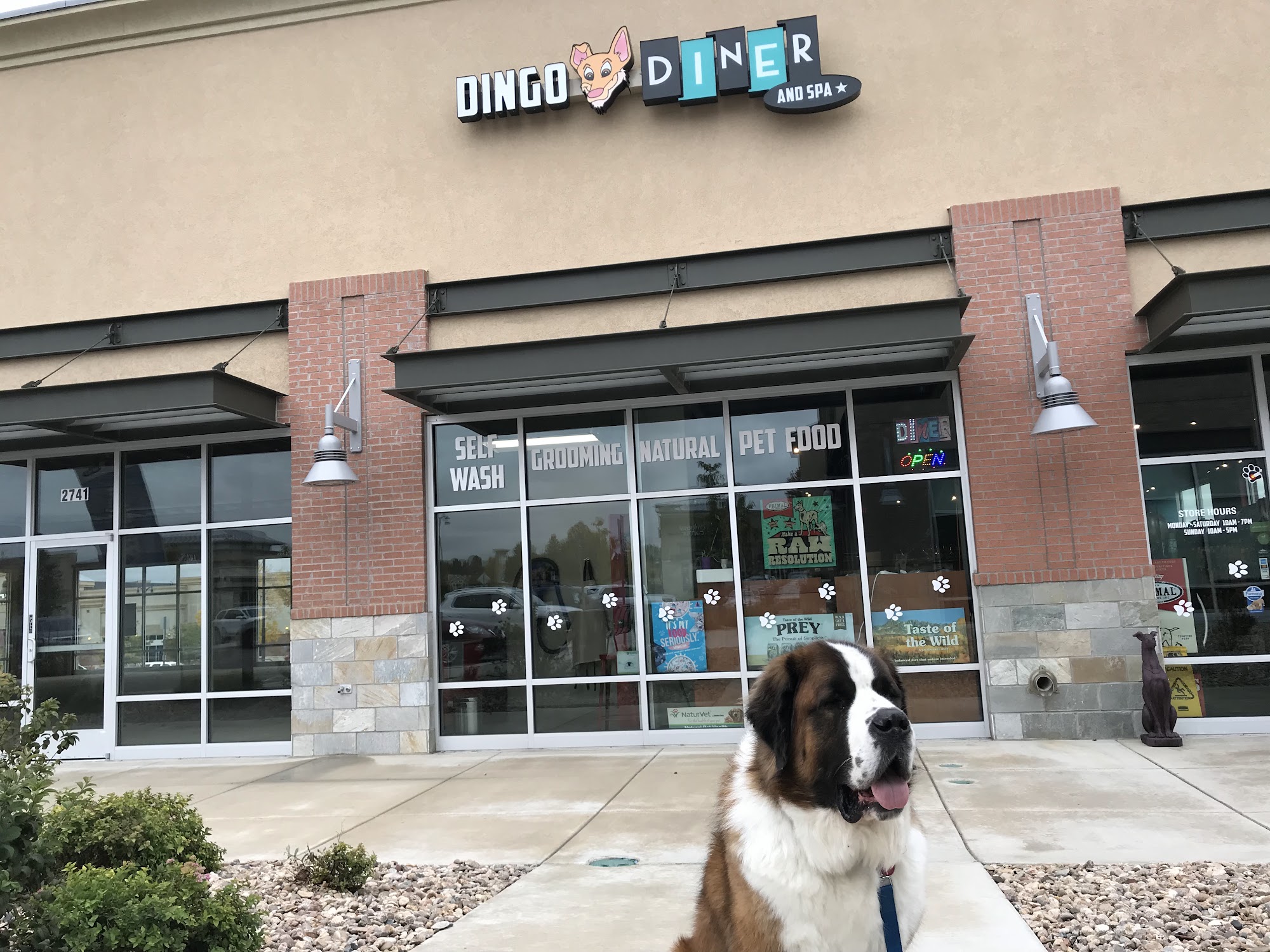 Dingo's Natural Pet Food, Self-Wash & Grooming