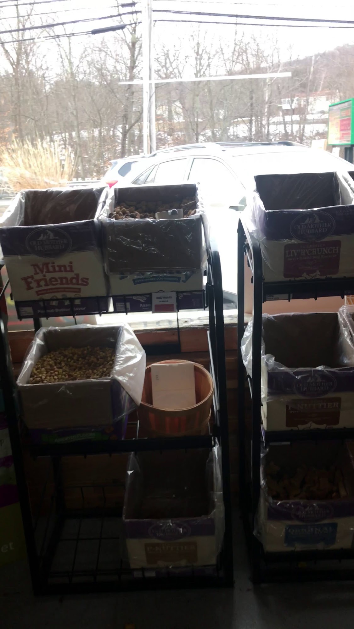 Cheshire Cat & Dog Too Cheshire