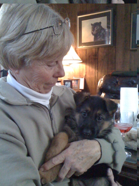 Totana Piper Hill Killingworth