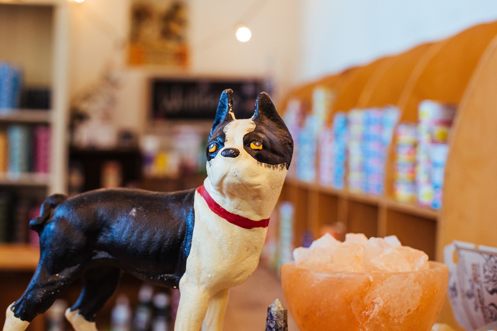 Your Healthy Pet - Middlebury Middlebury