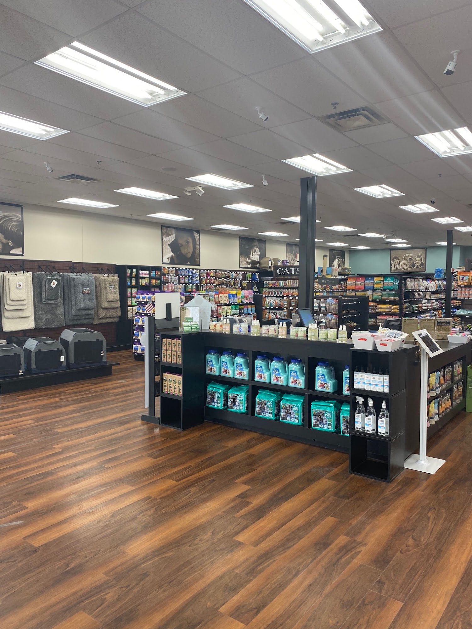 Choice Pet - Ridgefield Ridgefield