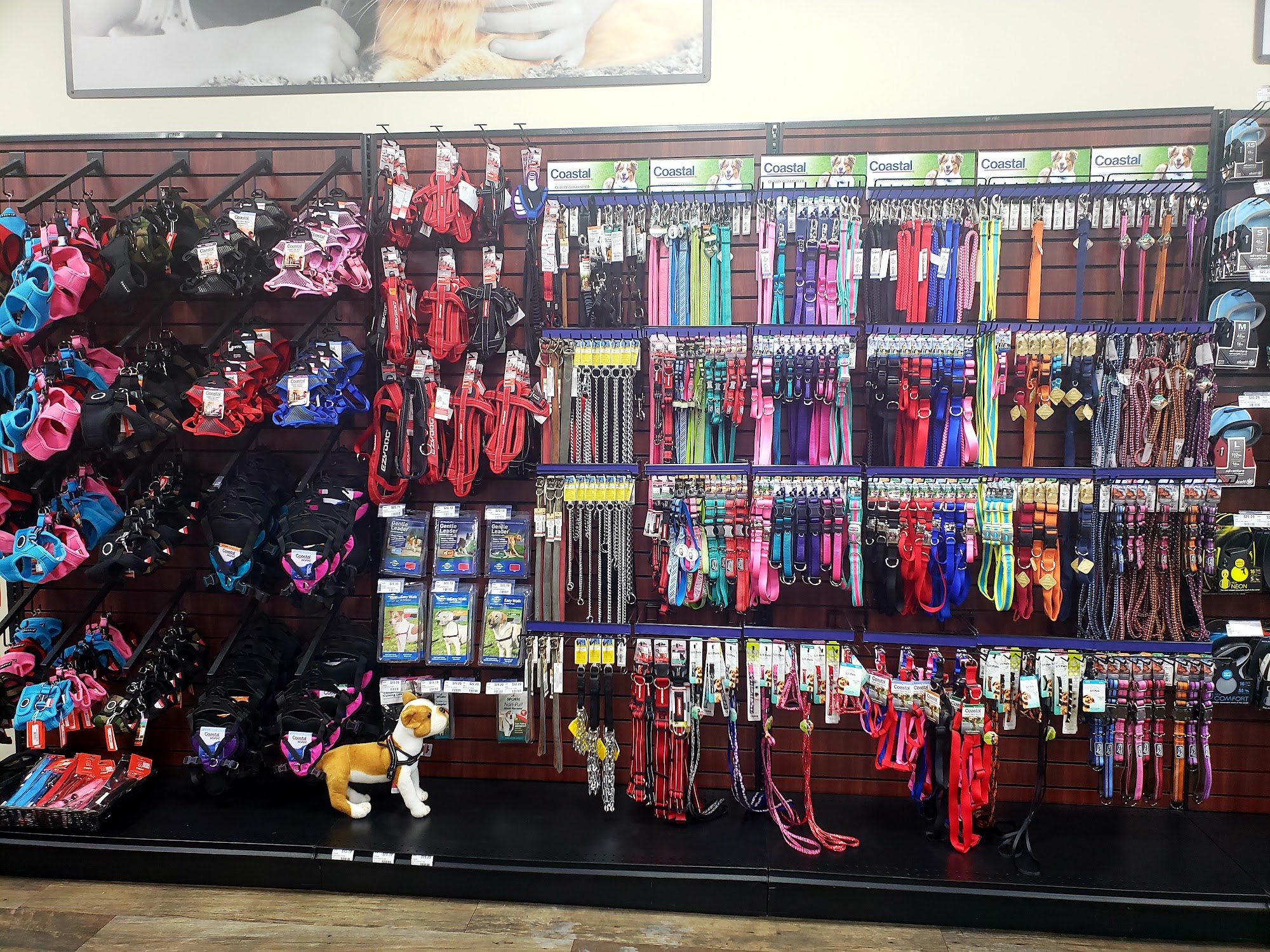 Choice Pet - Southbury Southbury