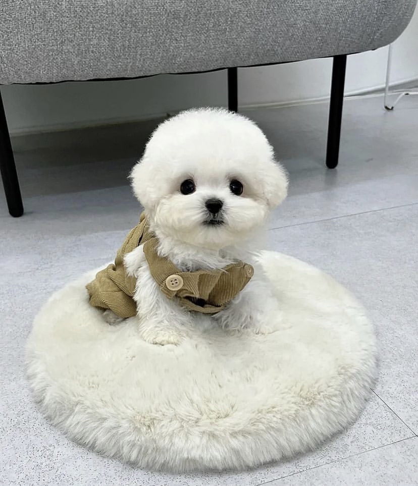 Pet Pantry Warehouse Wilton