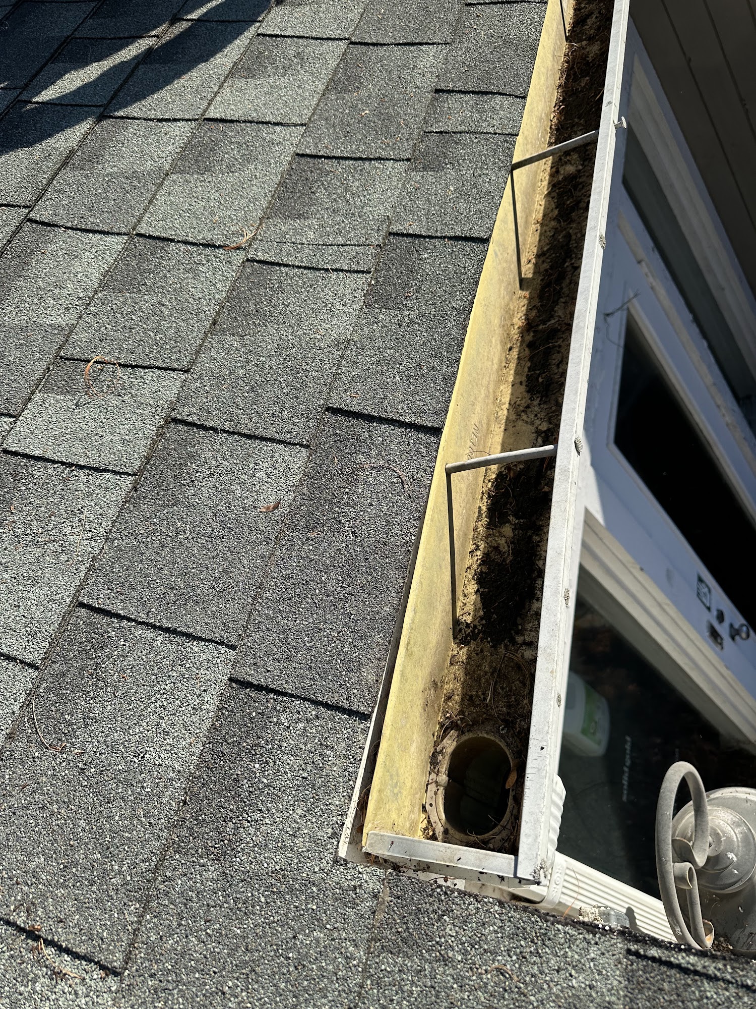 Woodbury Pet Commons Woodbury