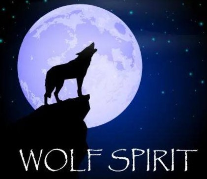 Wolf Spirit Wellness and Counseling Center 670 Main St S, Woodbury Connecticut 06798
