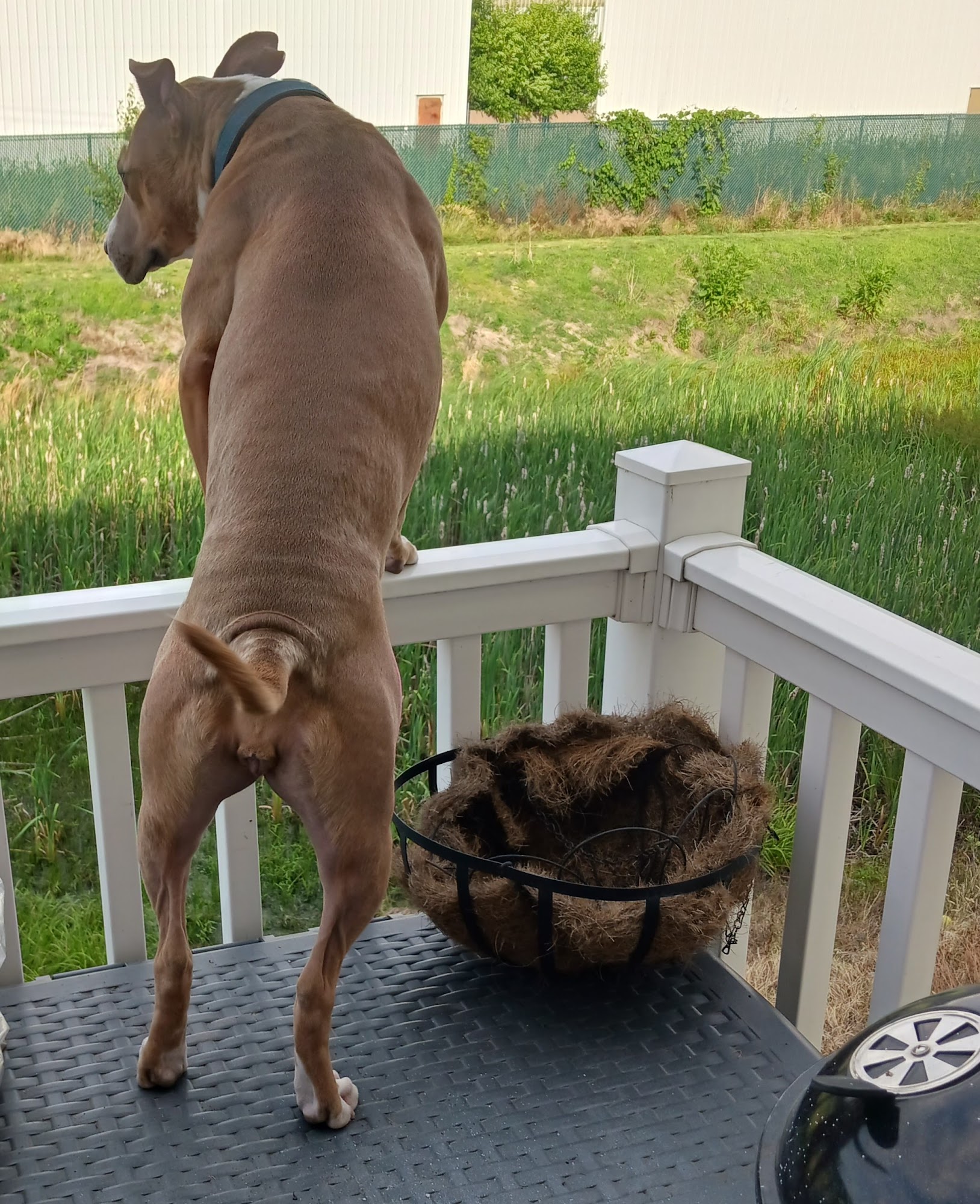 Brandywine Valley SPCA, Georgetown Campus Georgetown