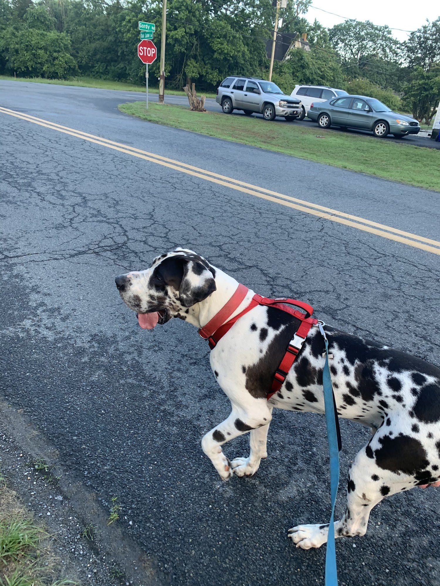 Concord Pet Foods & Supplies Millsboro