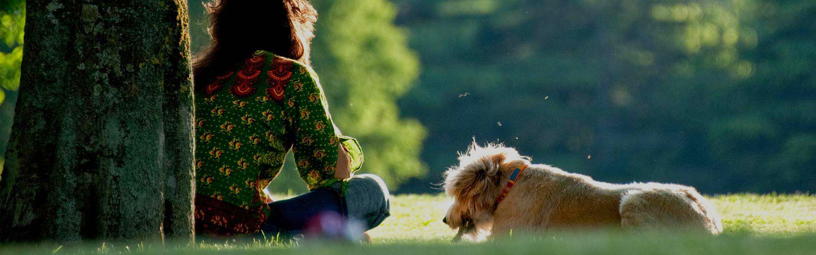 Concord Pet Foods & Supplies Newark