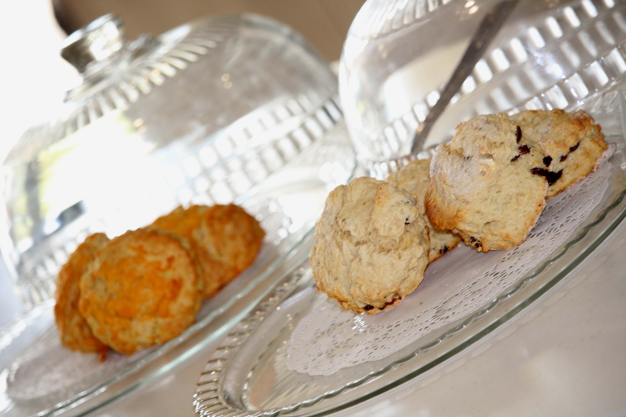 The Willows Café and Potting Shed Gift Shop Willow Burn Hospice, Lanchester Rd, Howden Bank, Lanchester