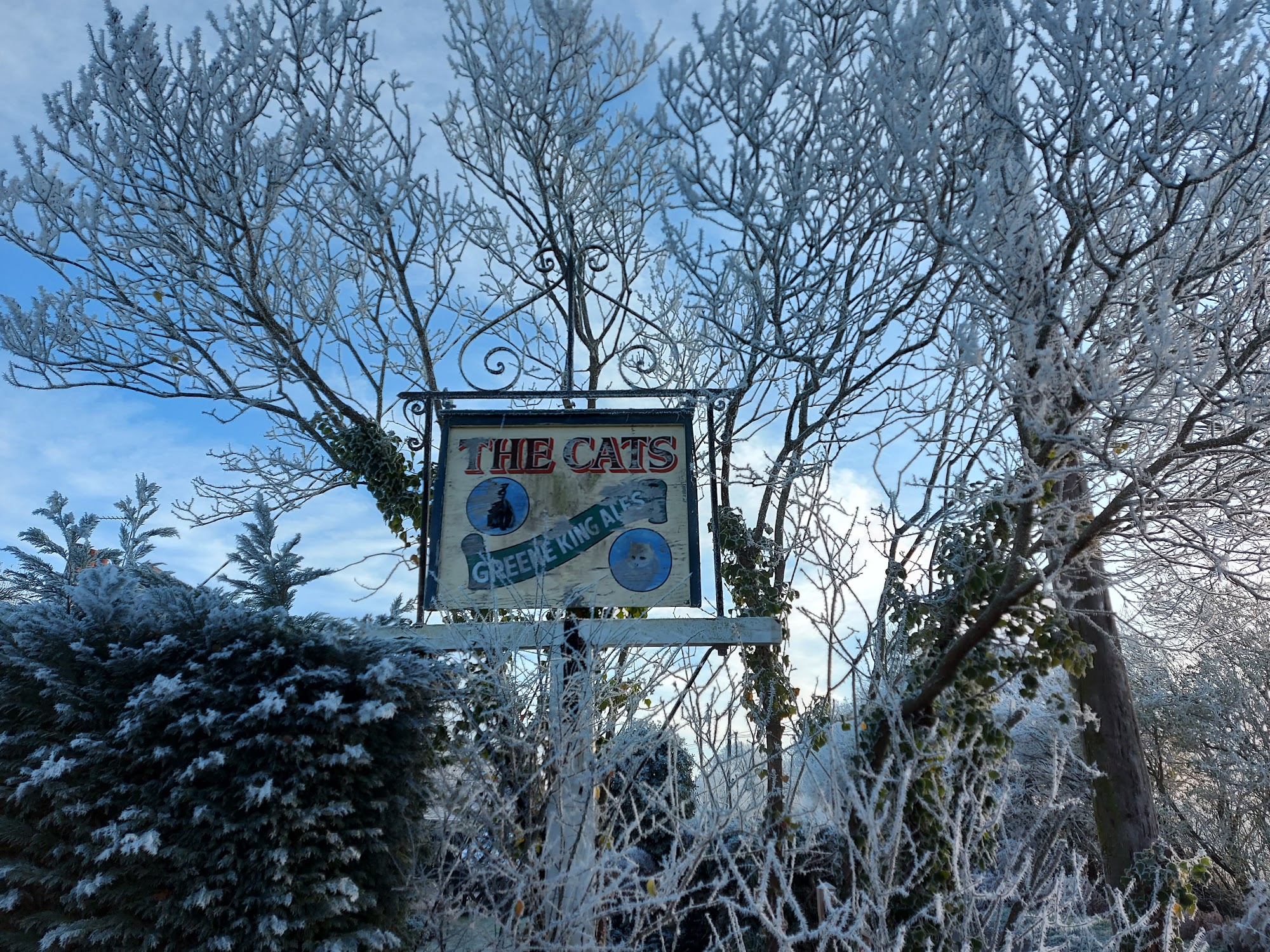 The Cats Pub Woodham Walter, Maldon