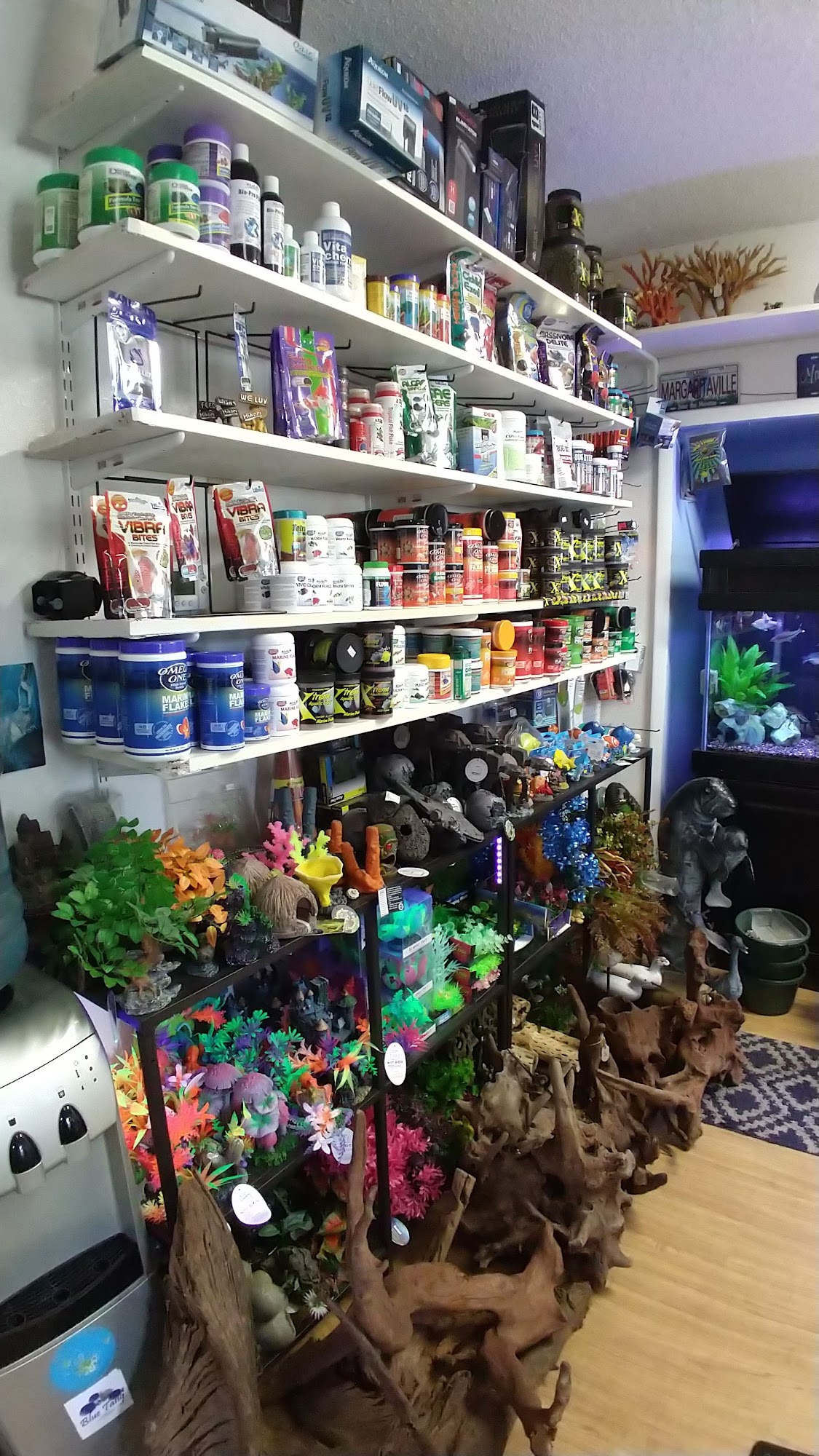 Sea Life Aquarium Services Apopka