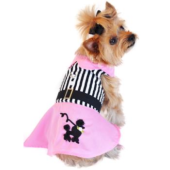 Mr Mochas Pet Supplies Belleview