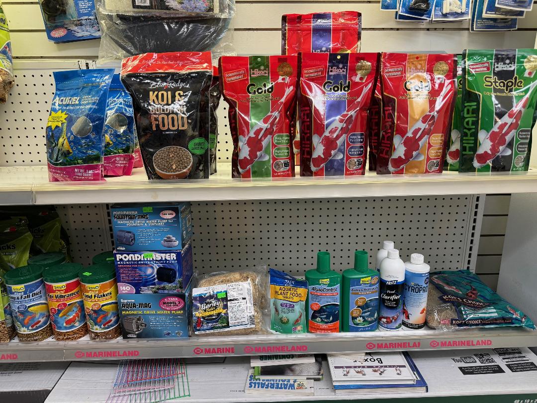 Pet Safari - In Store Shopping or CURB SIDE assistance Clearwater