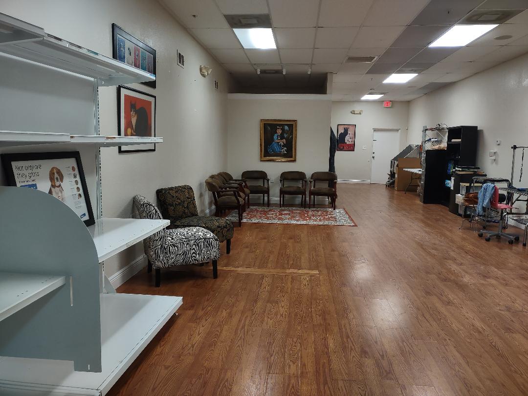 THE DOGROOM Coral Springs