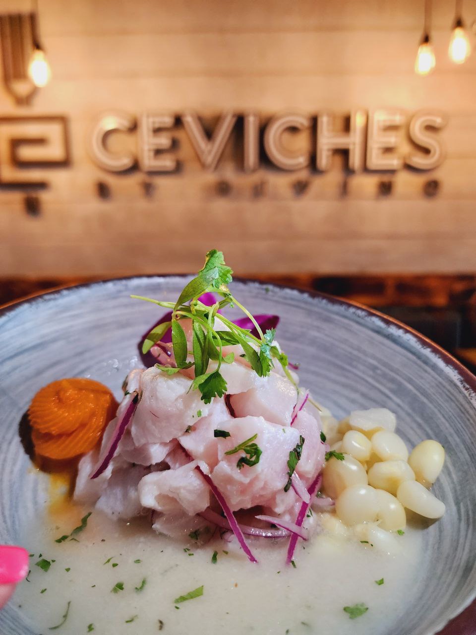 Ceviches by Divino ® Davie