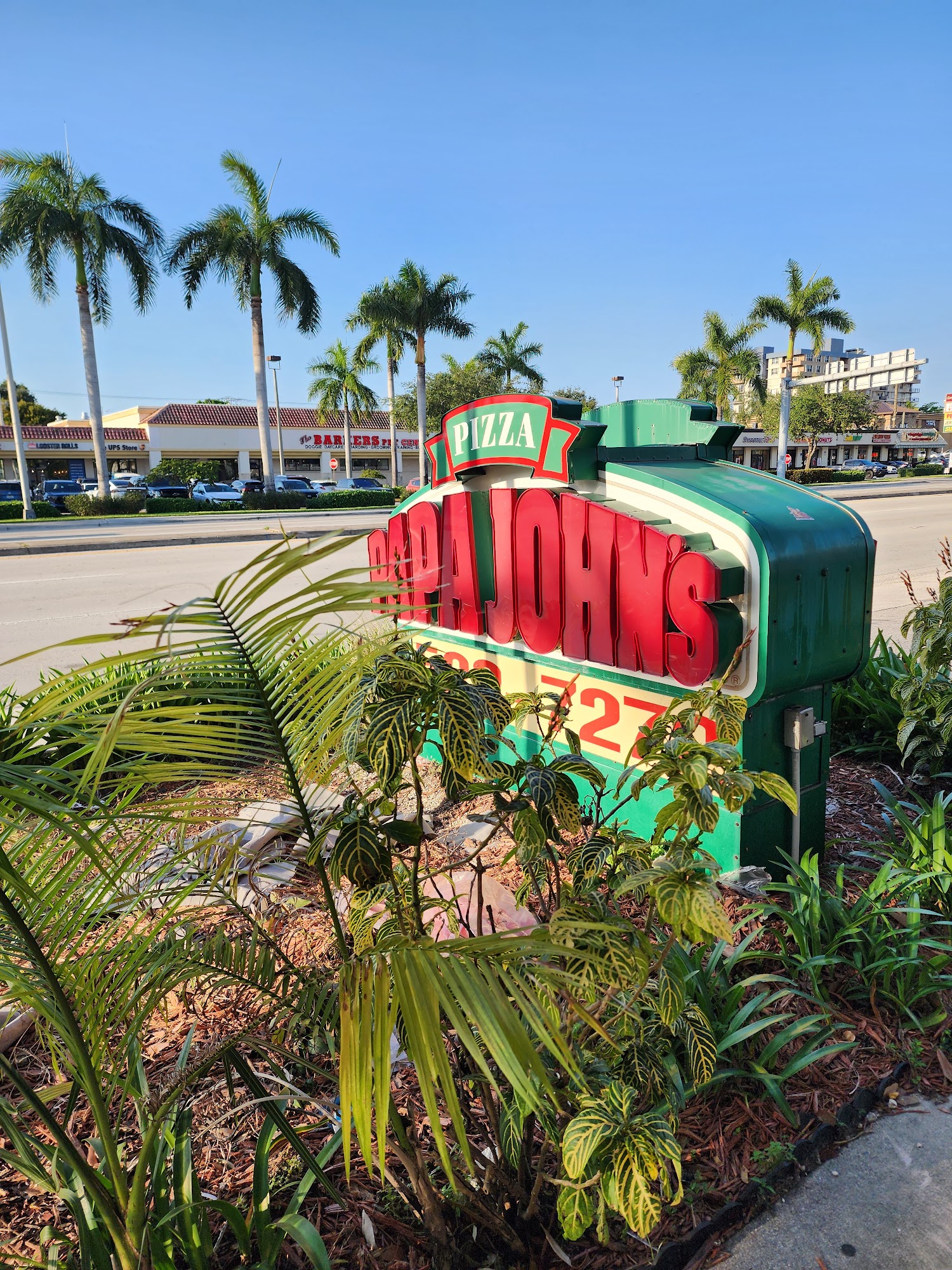 Papa Johns Pizza