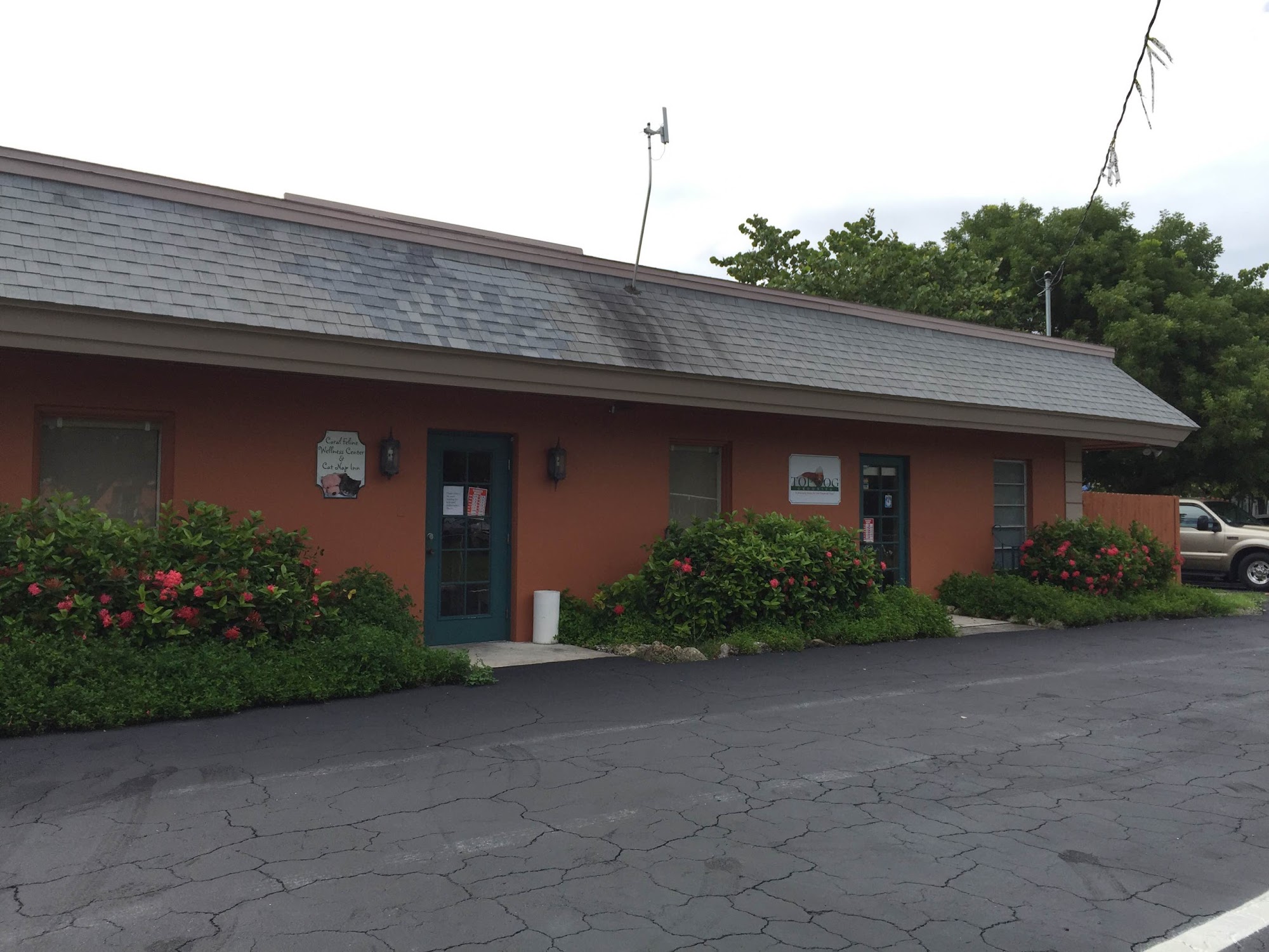 Cat Nap Inn Fort Myers