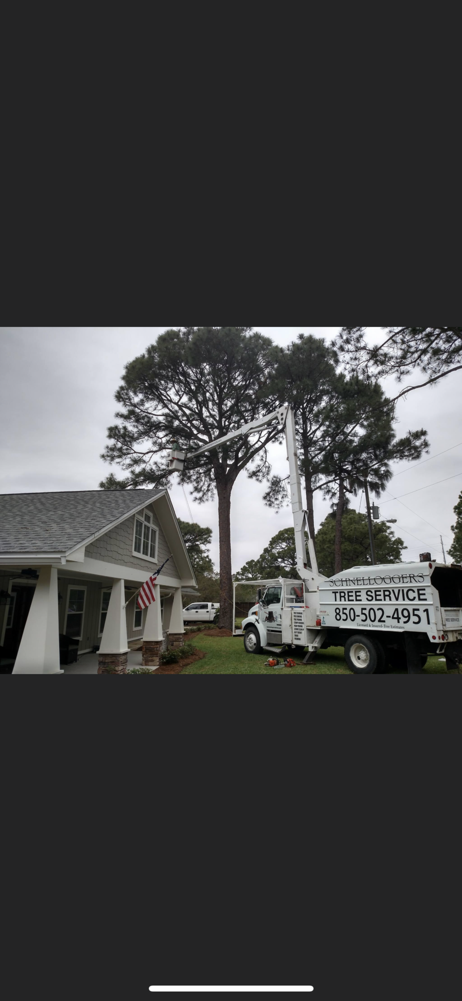 Schnelloggers Tree Service & Removal 180 Red Barn Rd, Freeport Florida 32439