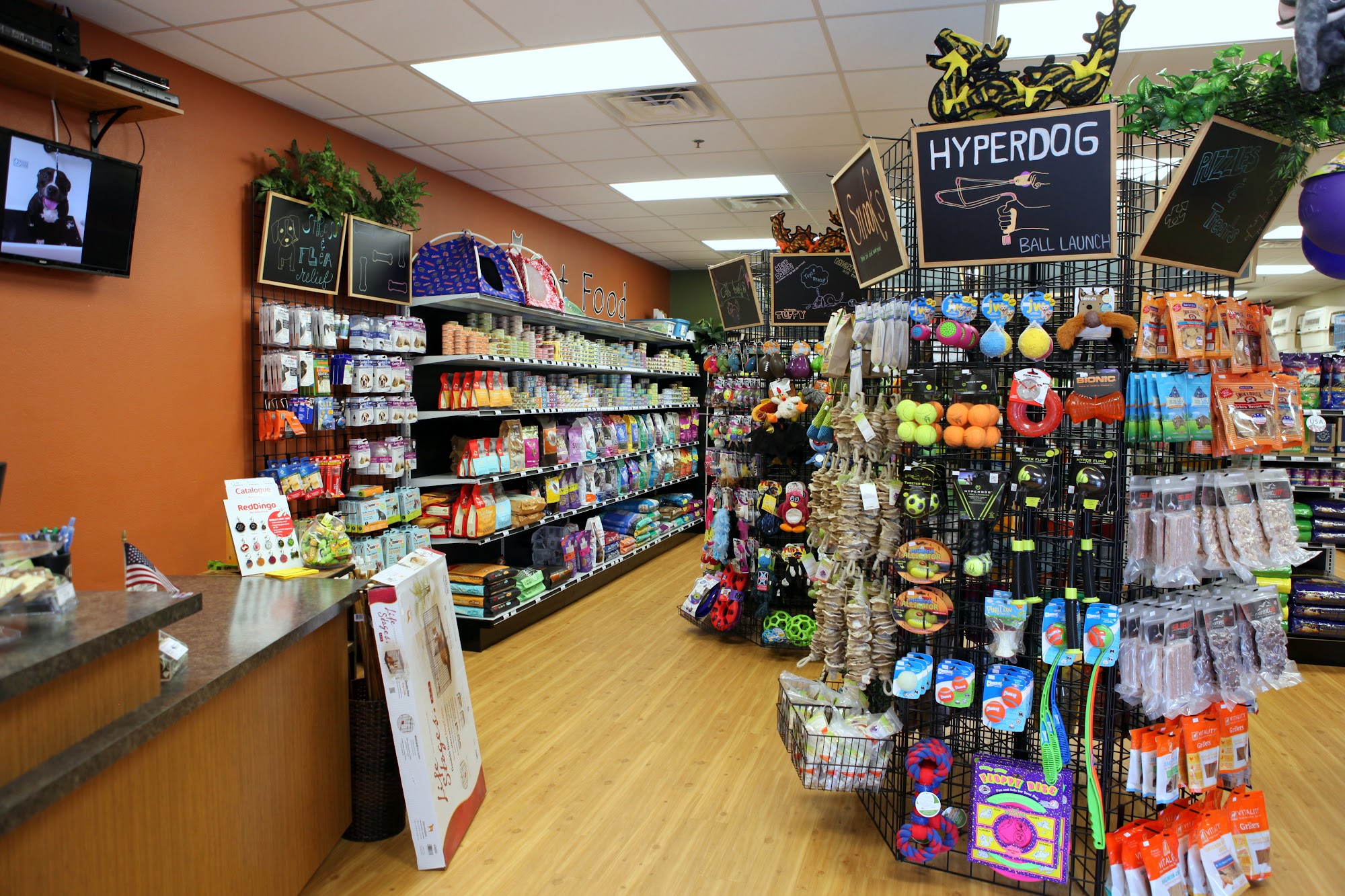 EarthWise Pet Gainesville Gainesville