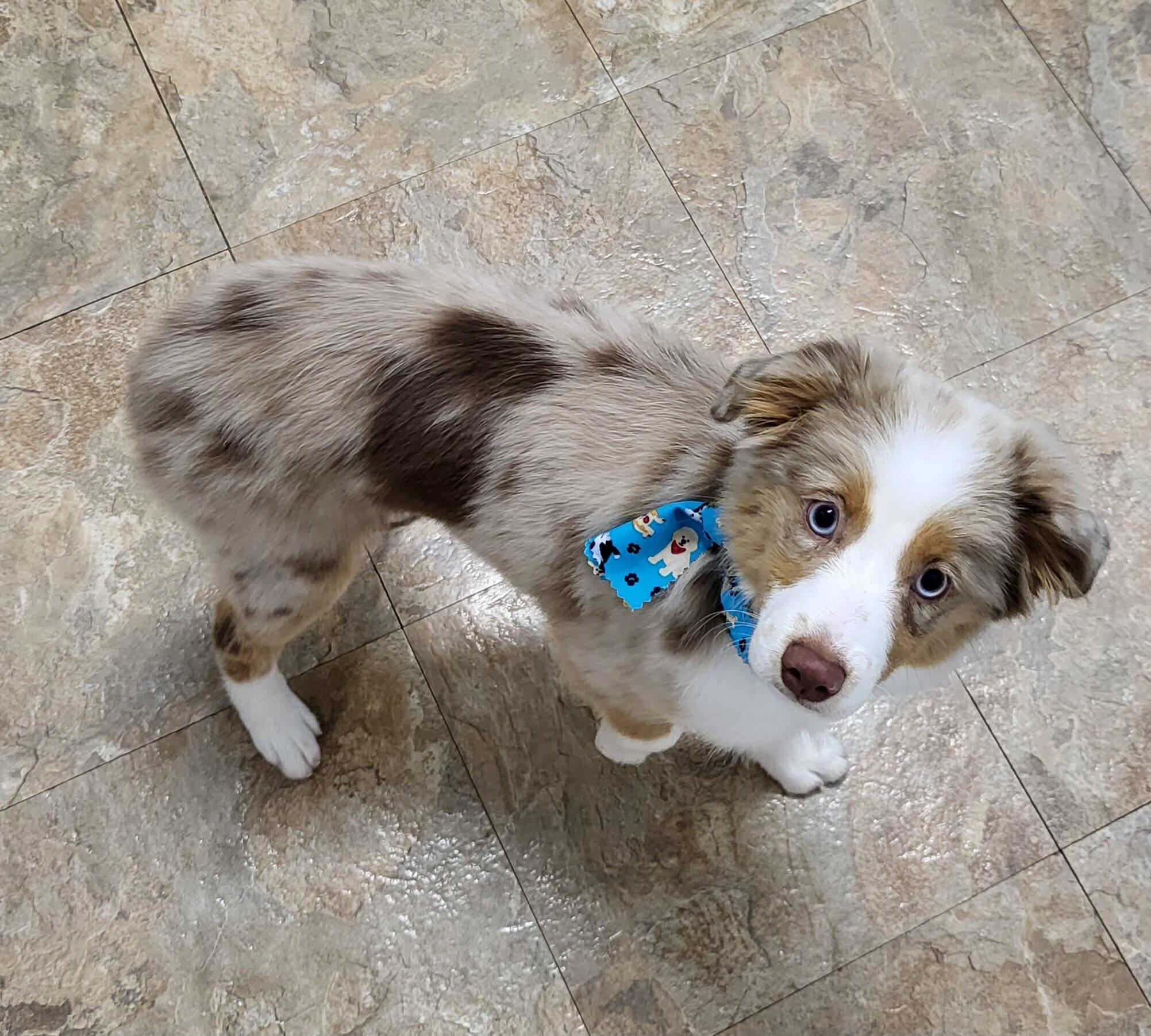 Photo credit: nextdoor