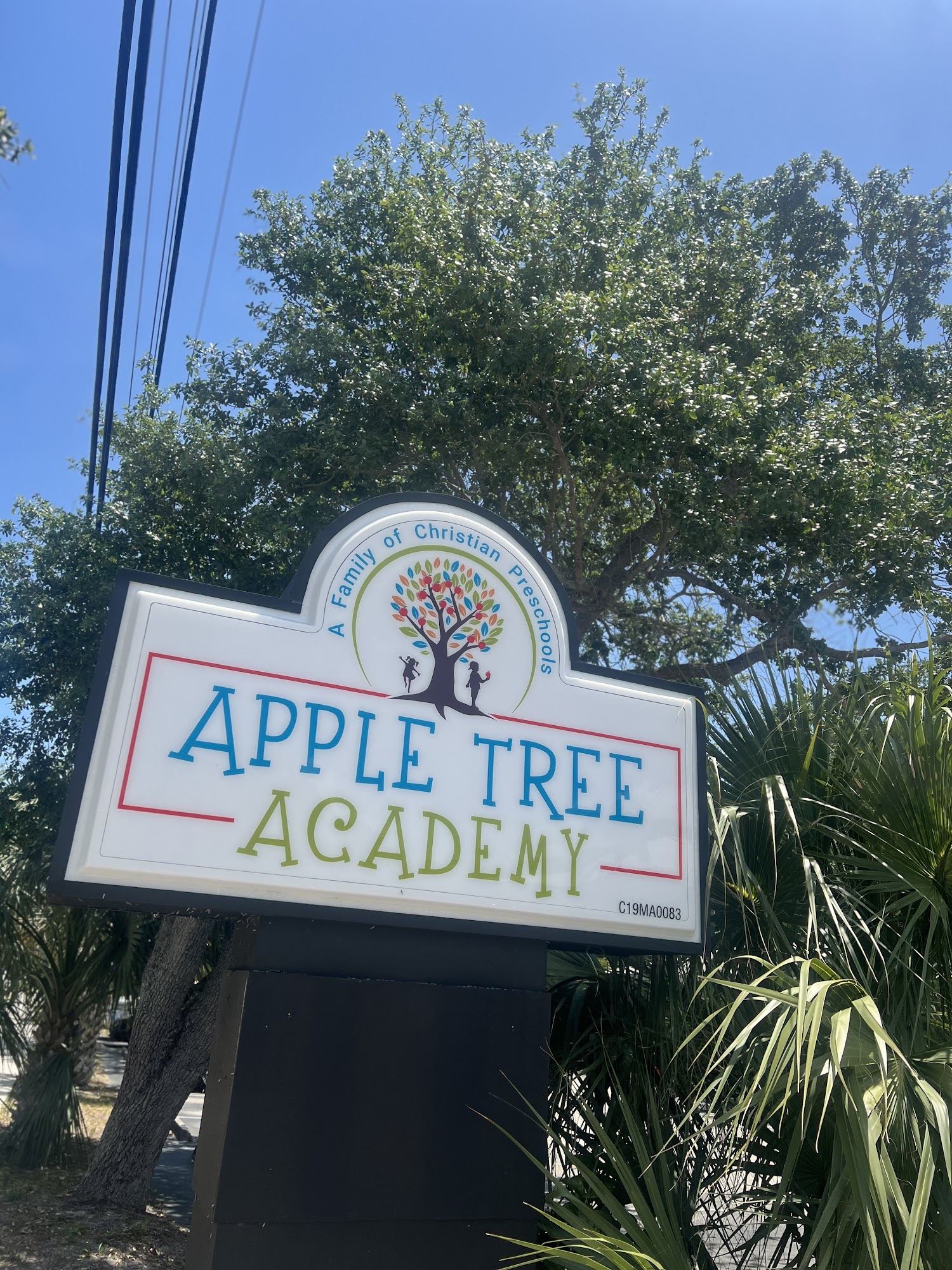 Apple Tree Academy II
