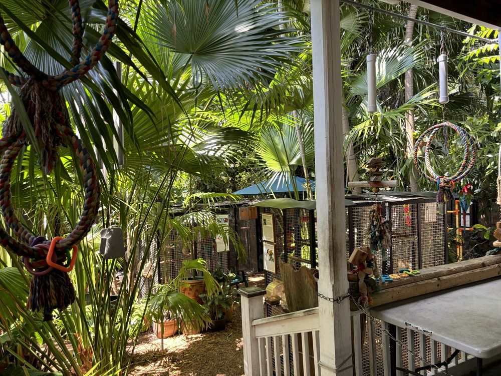 Nancy Forrester's Secret Garden Key West