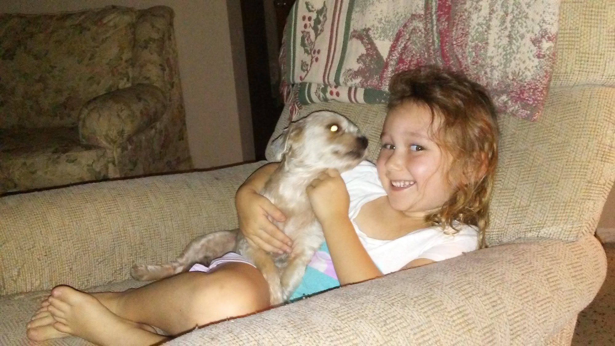 Bark Place Hotel & Pet Grooming Largo