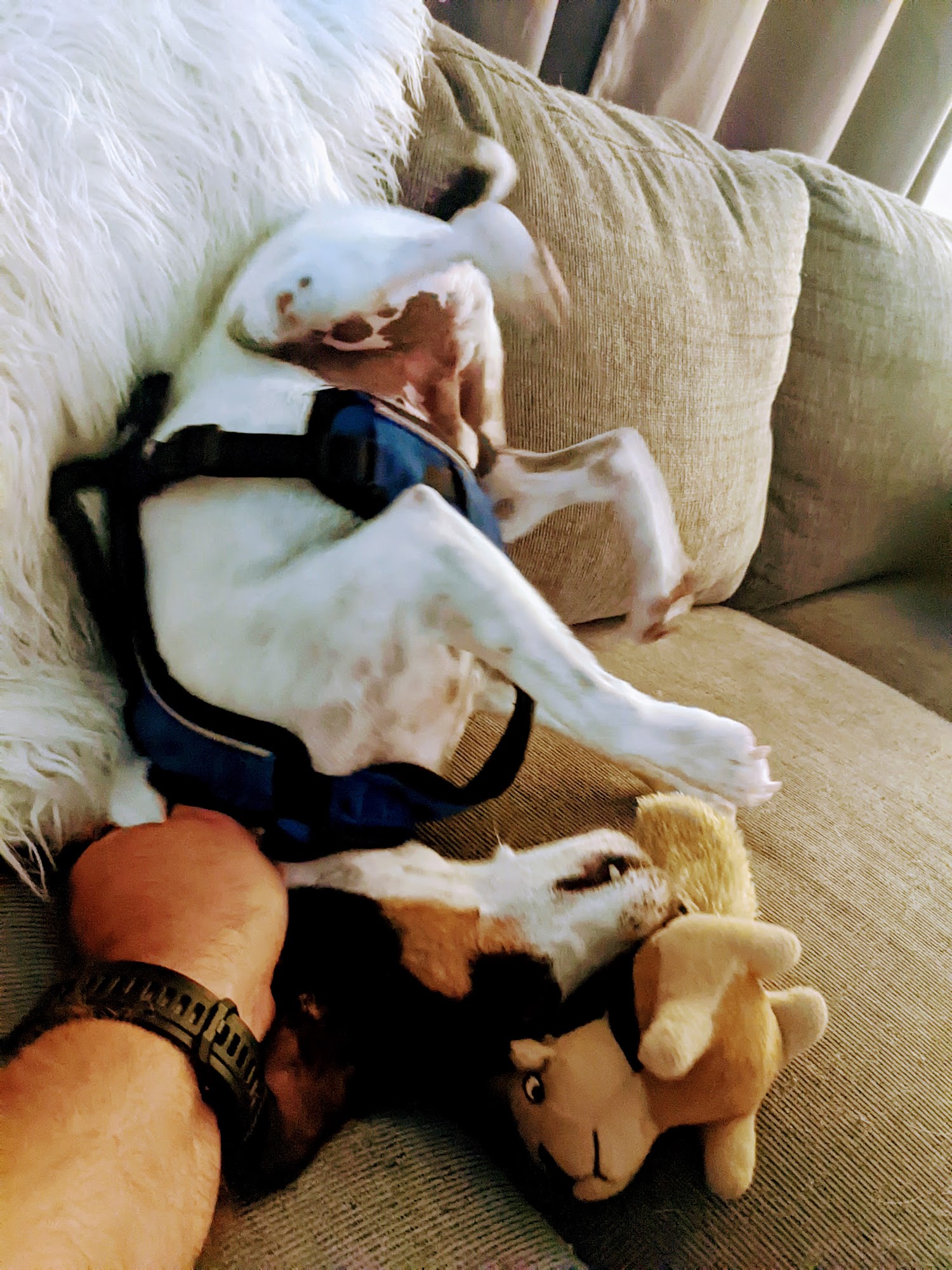 Michael Dunn Marathon