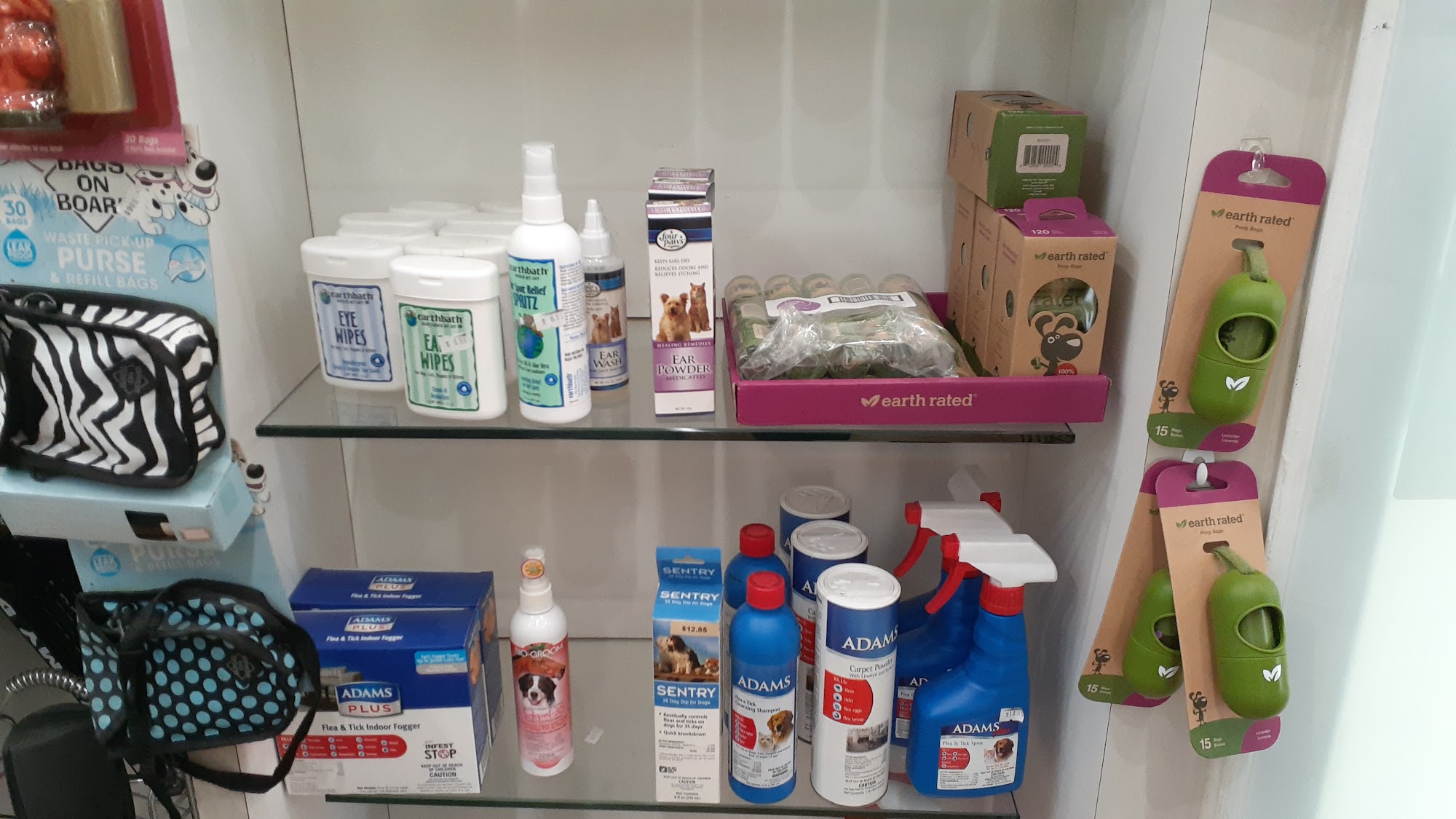 South Beach Pet Spa and Grooming Miami Beach