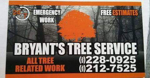 C. Bryant's Tree Service 21561 SE 68th Ln, Morriston Florida 32668