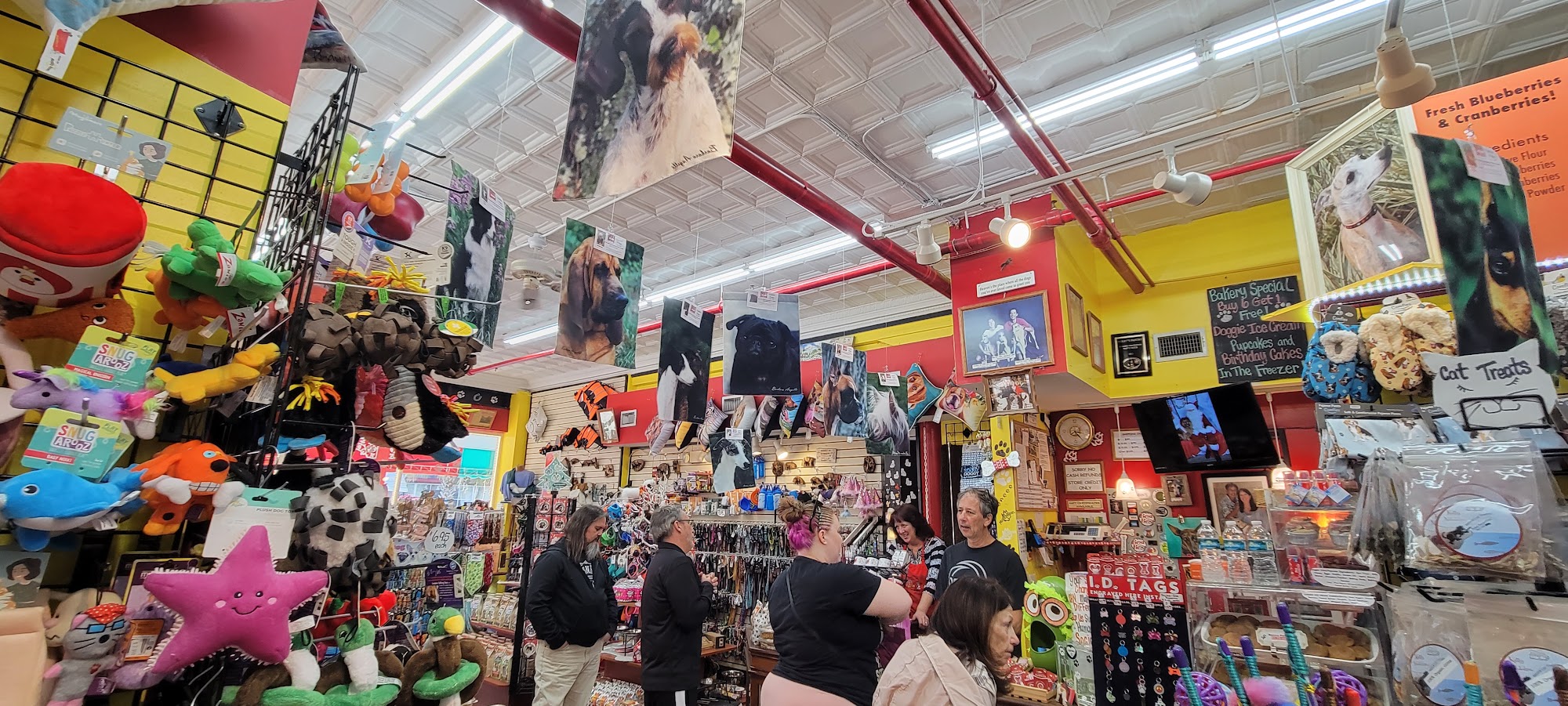 Piglet's Pantry-Dog Bakery Mount Dora