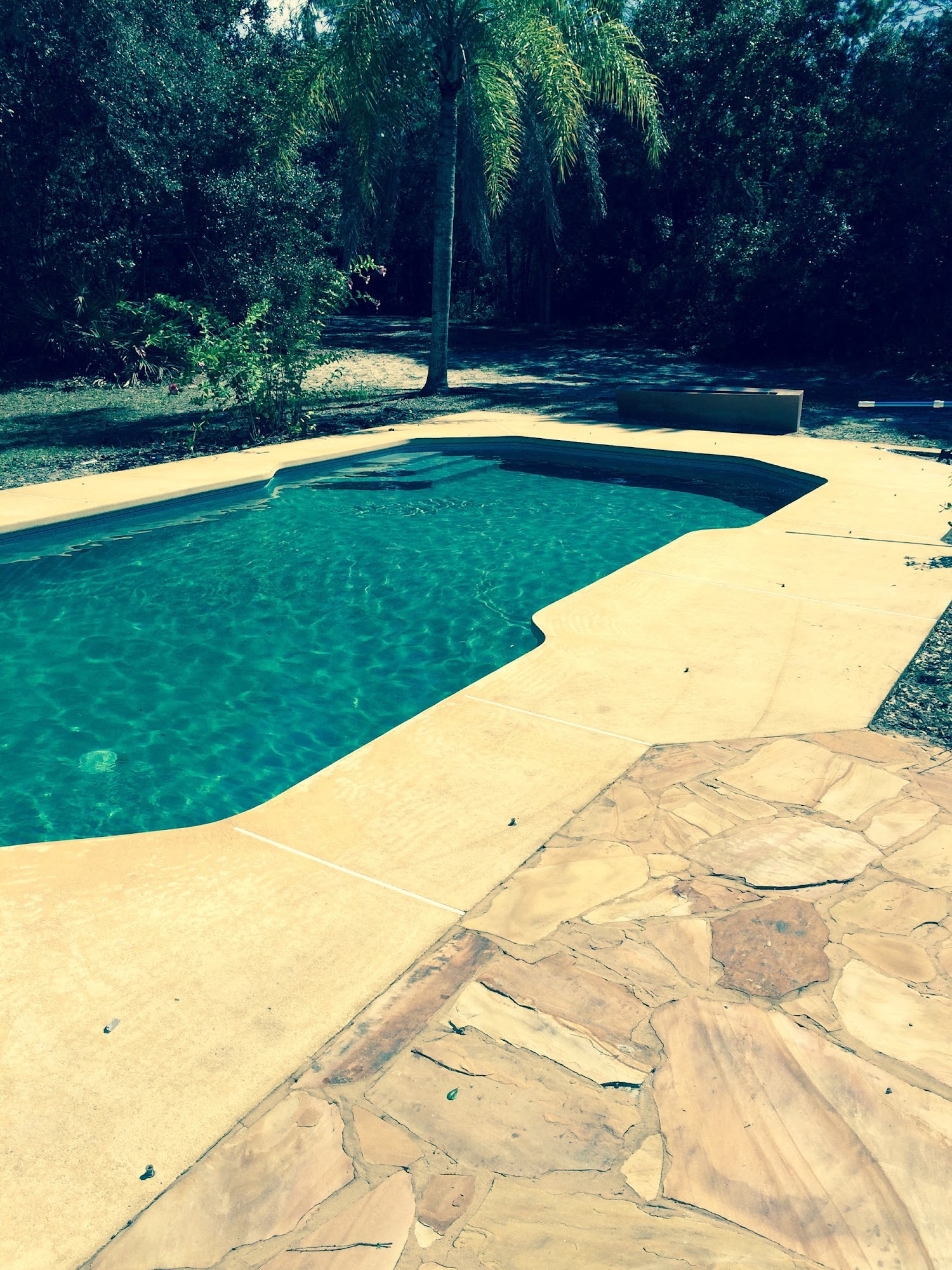 PALM TREE POOL SUPPLY - Oviedo FL - Hours, Directions, Reviews - Loc8NearMe