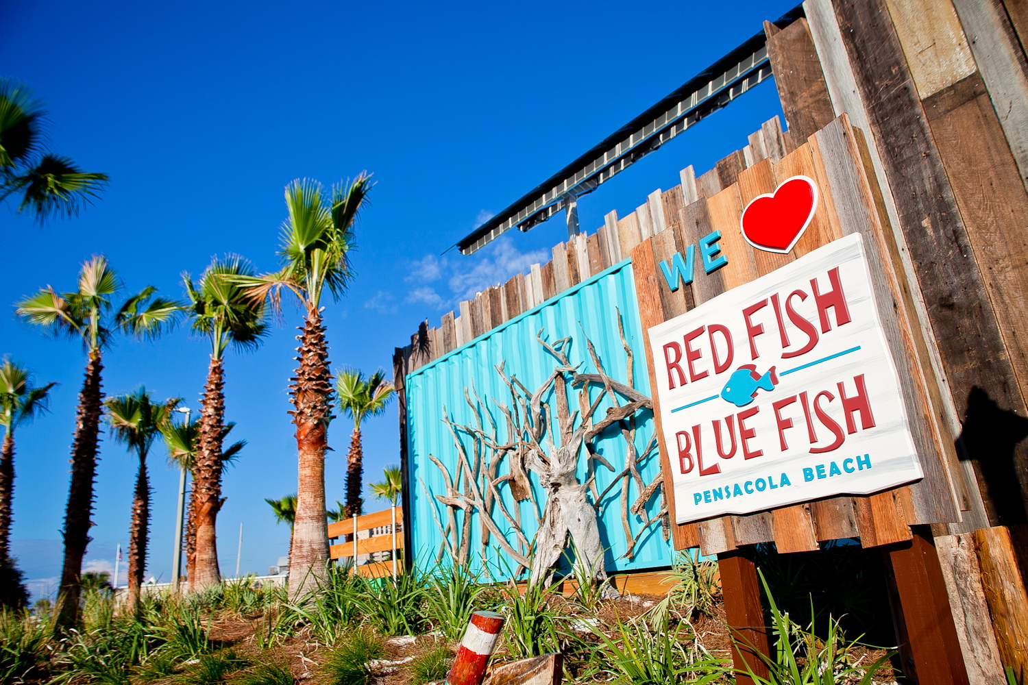 Red Fish Blue Fish Pensacola Beach