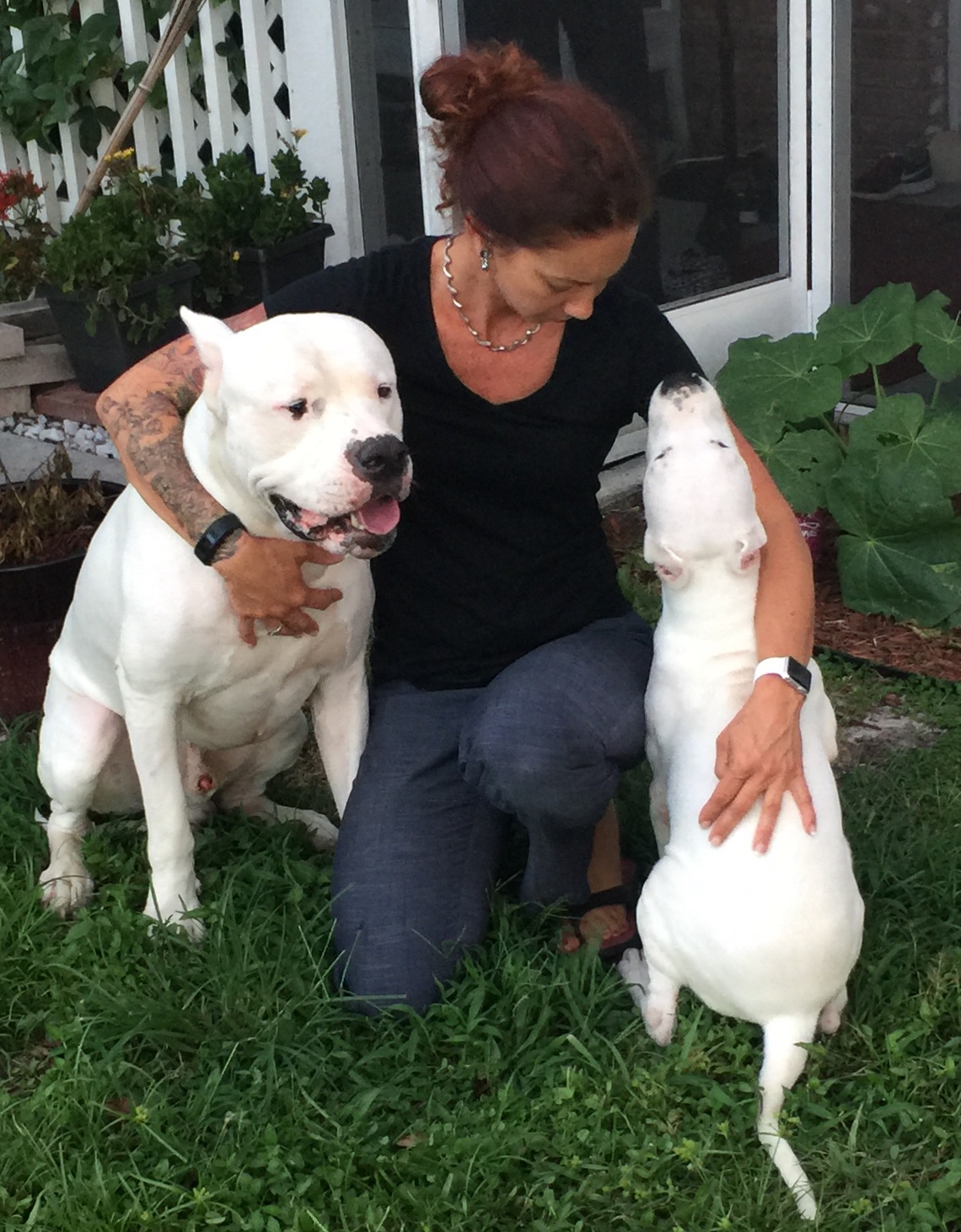 AcuVetDoc Veterinary Reproduction & Animal Care Wellness Clinic Royal Palm Beach