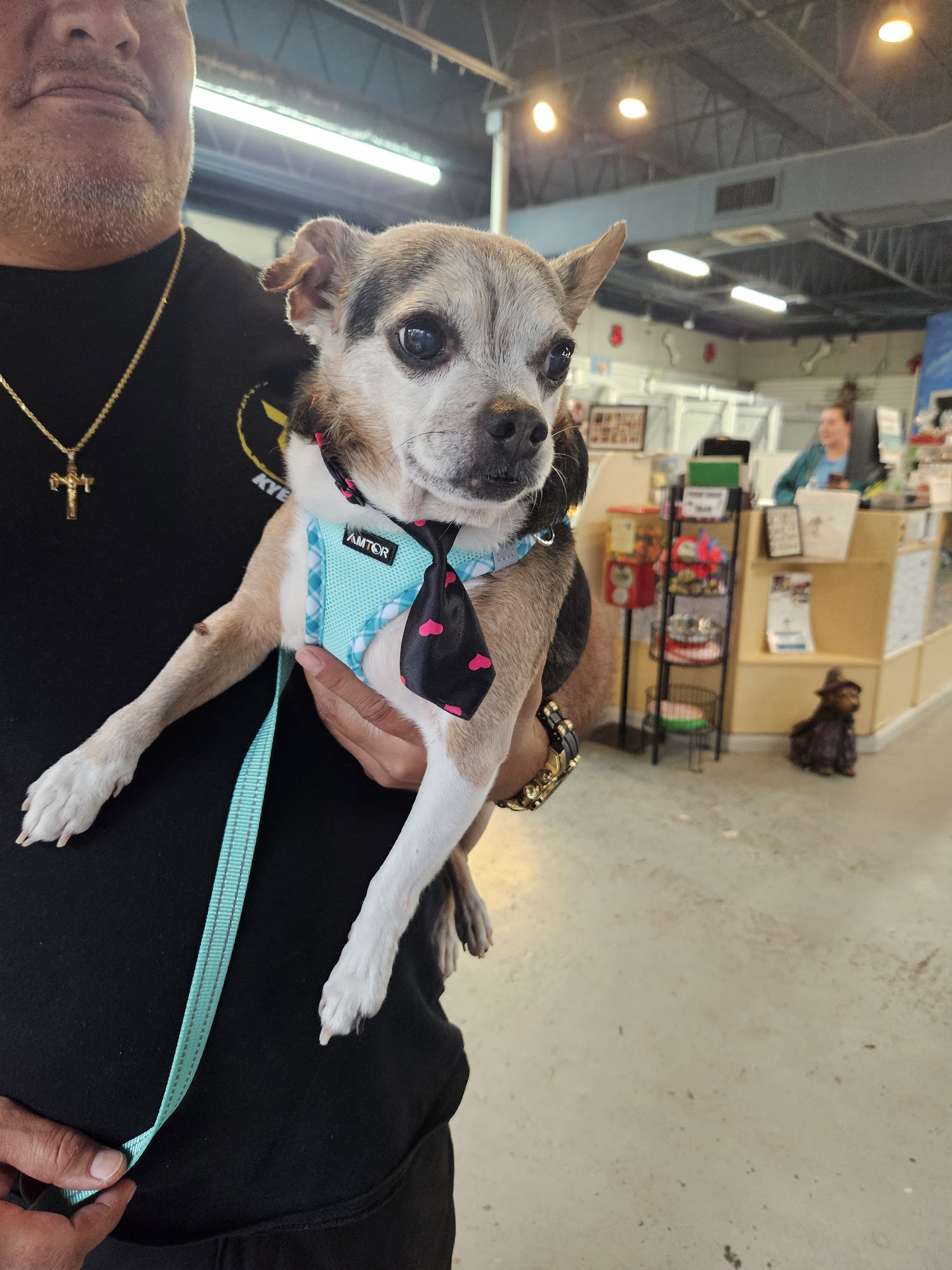 Paw Park Palace Sanford