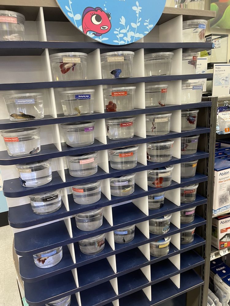 Petco Vaccination Clinic South Miami