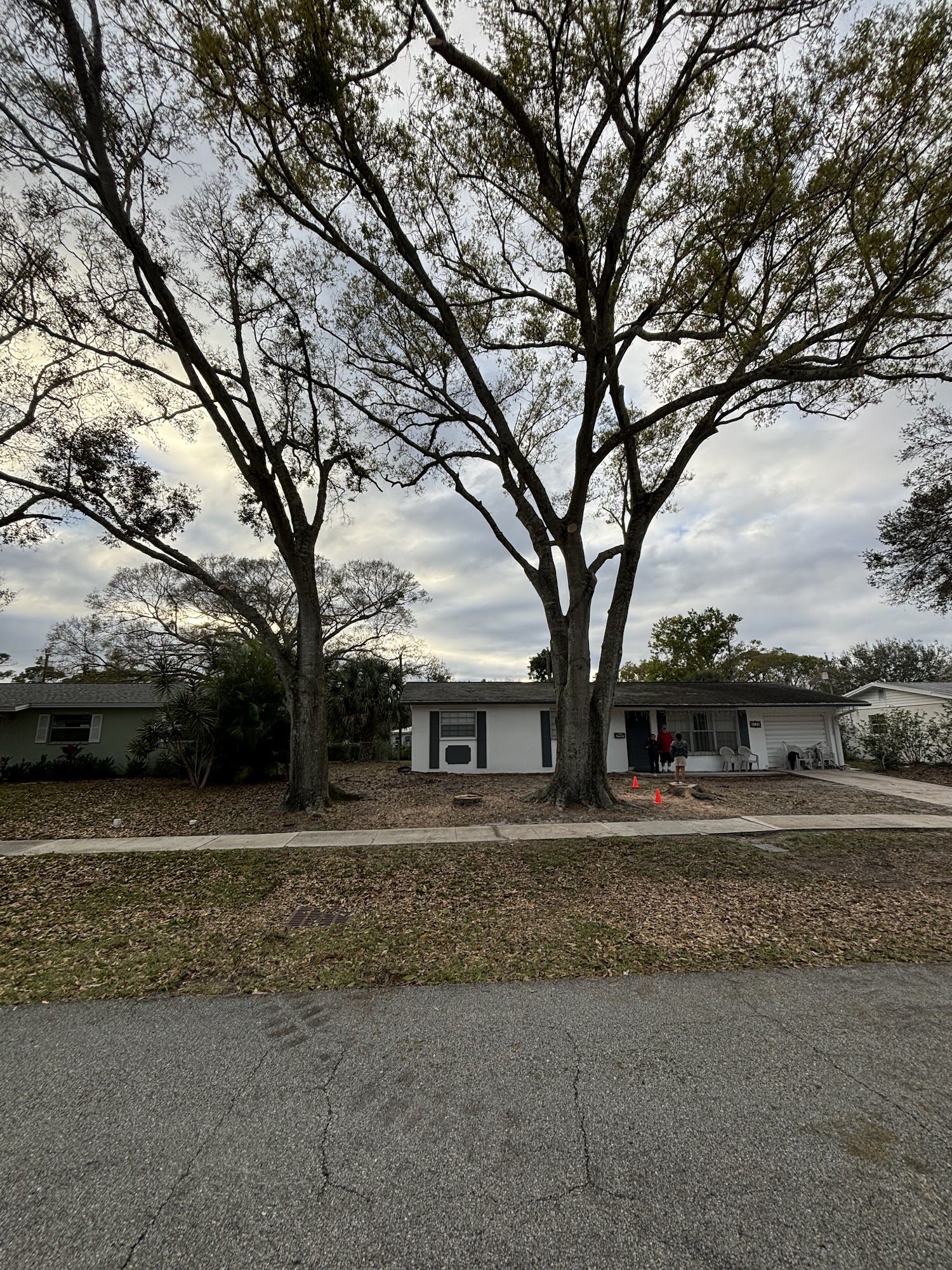 Randall Family Rabbitry Vero Beach