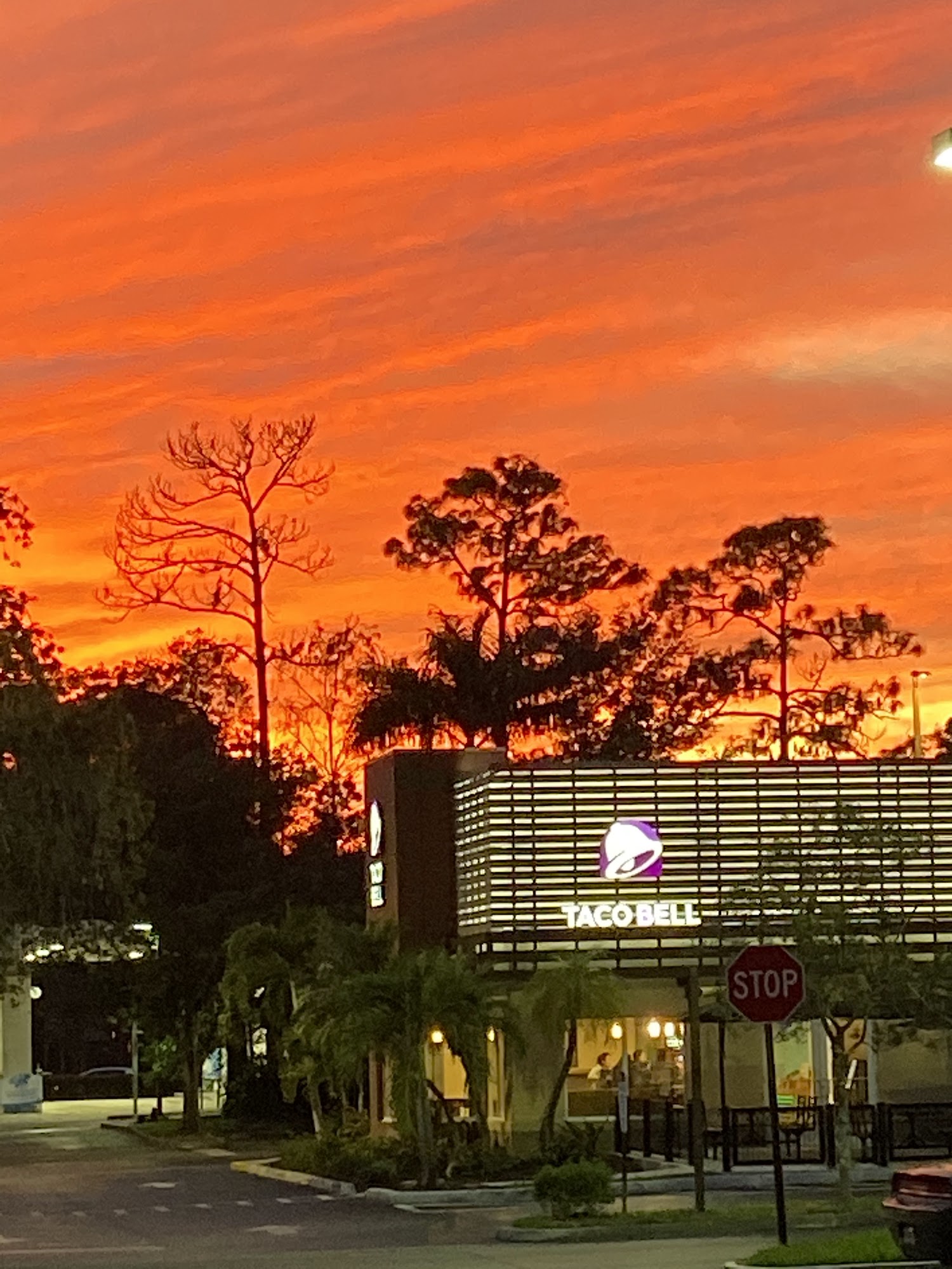 Taco Bell