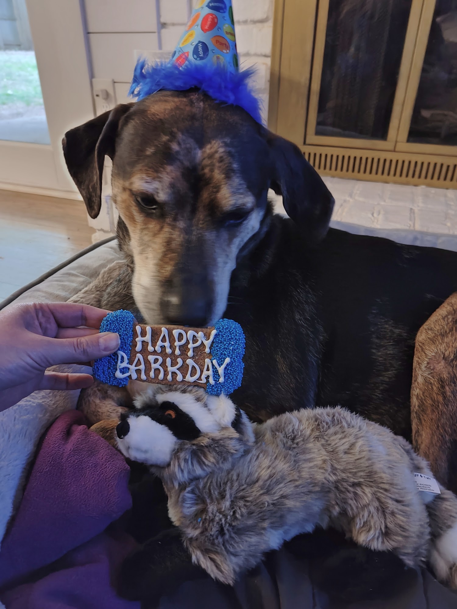 City Dog Market Atlanta