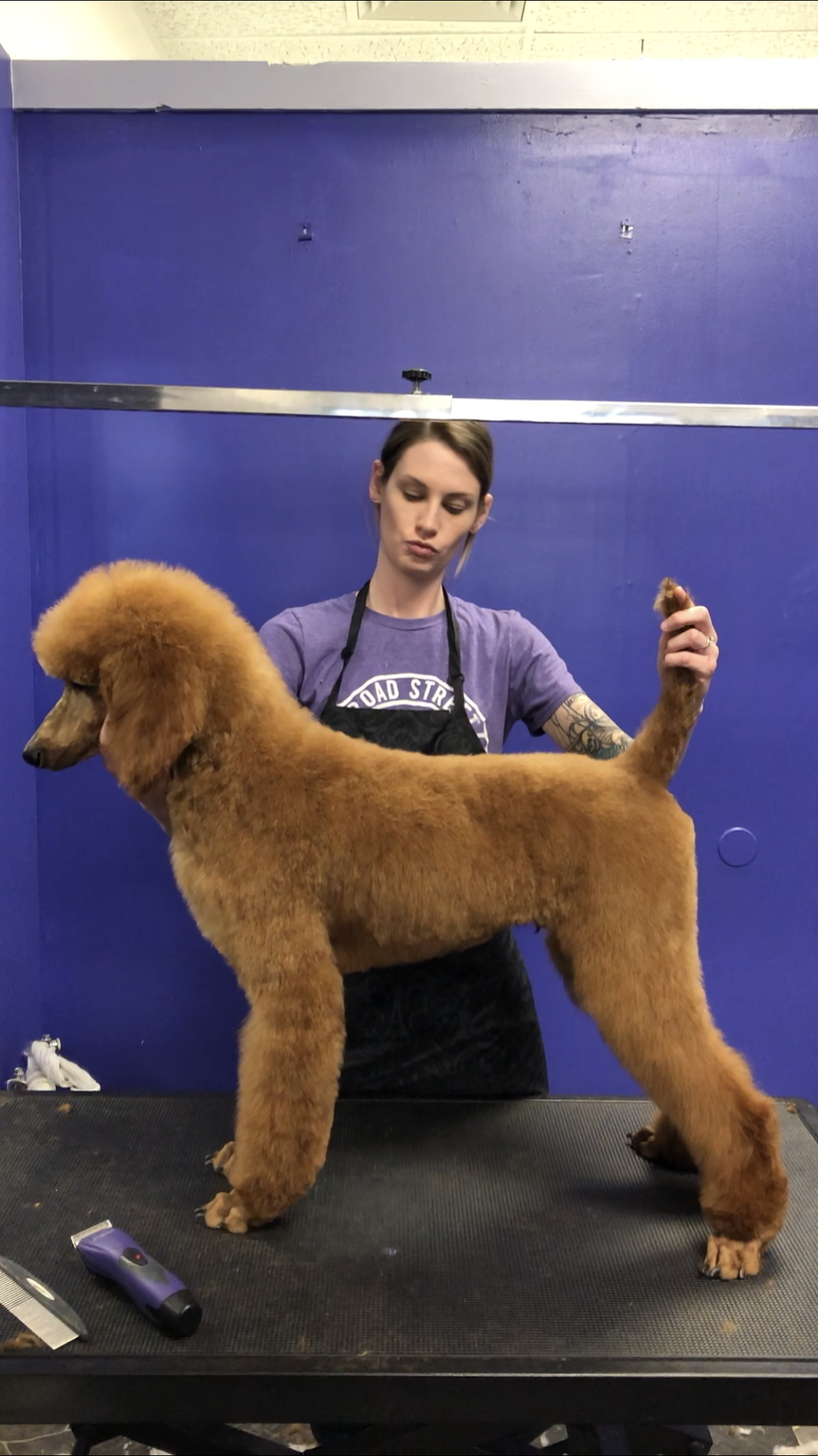 Barkery on Broad Augusta